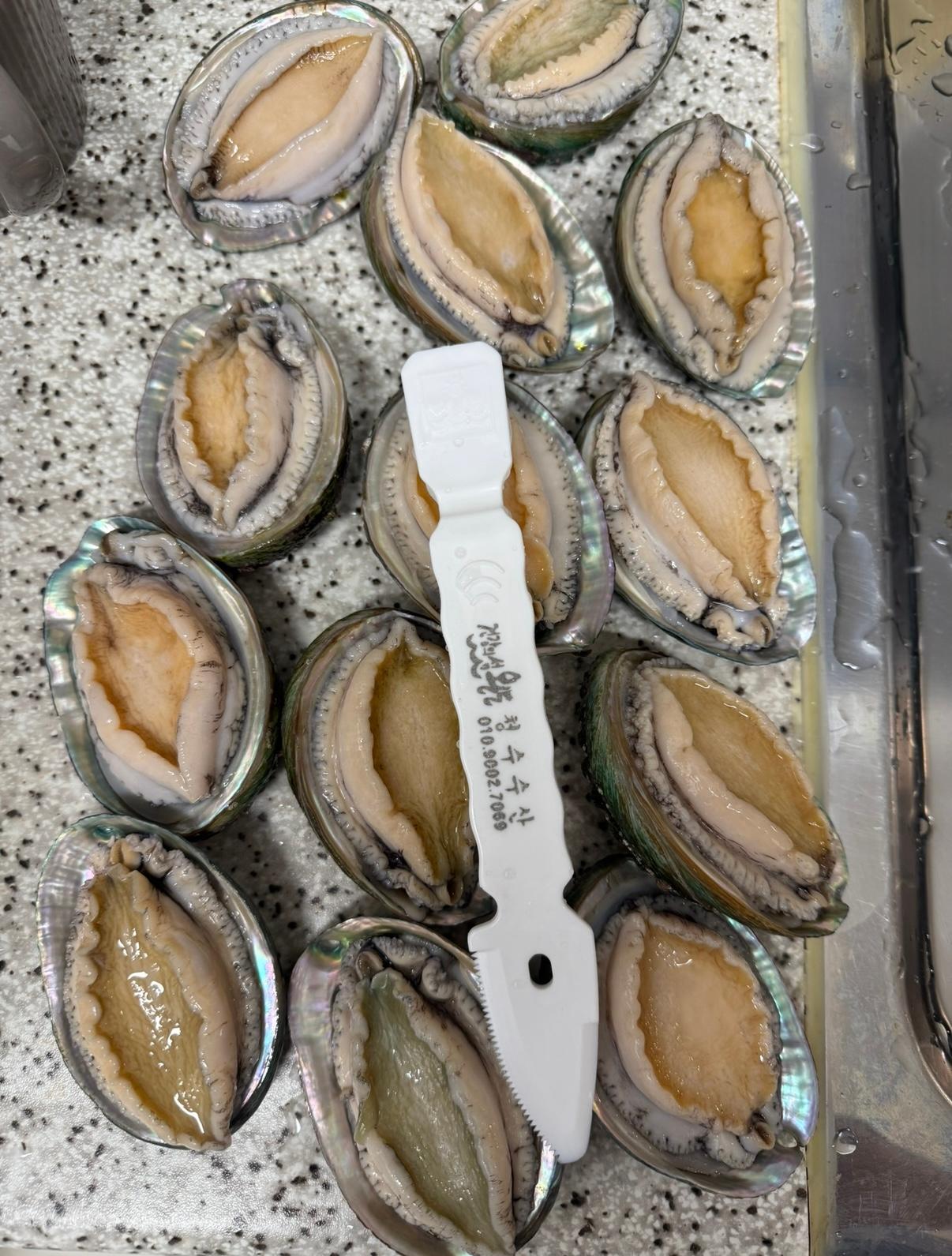 활전복 1kg (10~12미) + 1마리 추가