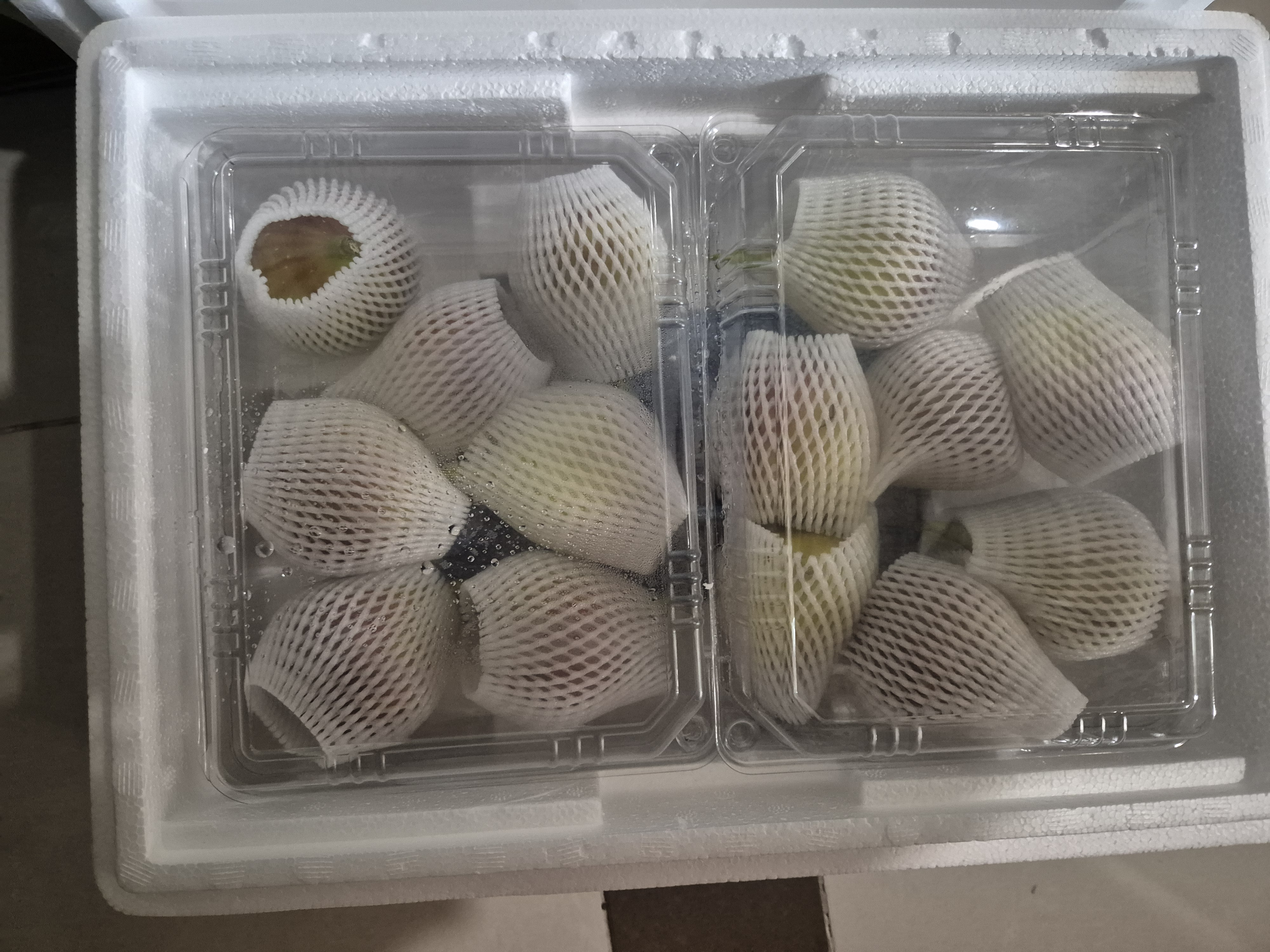 영암매력한우 1+이상 한우불고기 700g (100g 추가 증정)-2