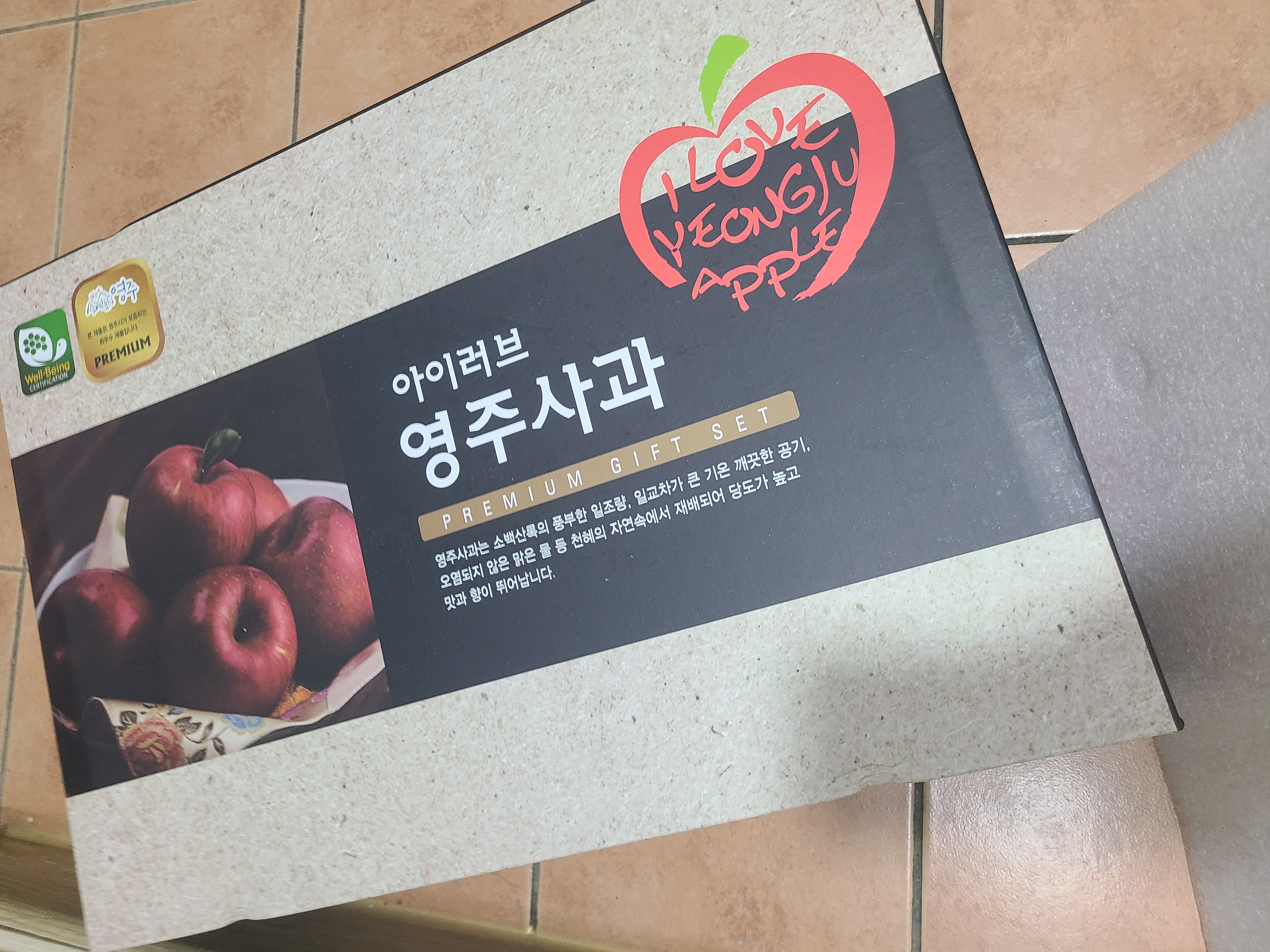 대경사과원예농협 영주사과 3.2kg 선물세트 (11입내)-2