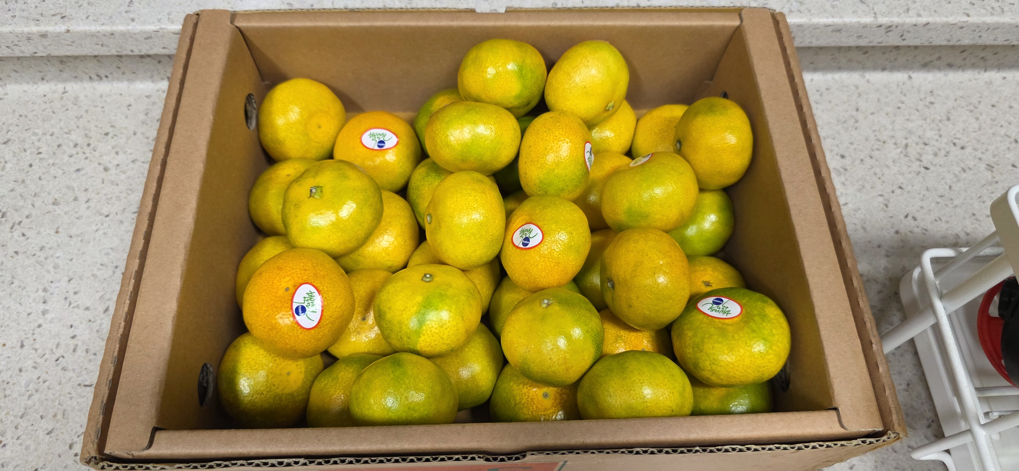 효돈 농협 프리미엄 감귤 (3kg/5kg)-1