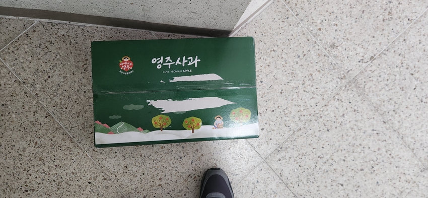 포토후기 이미지