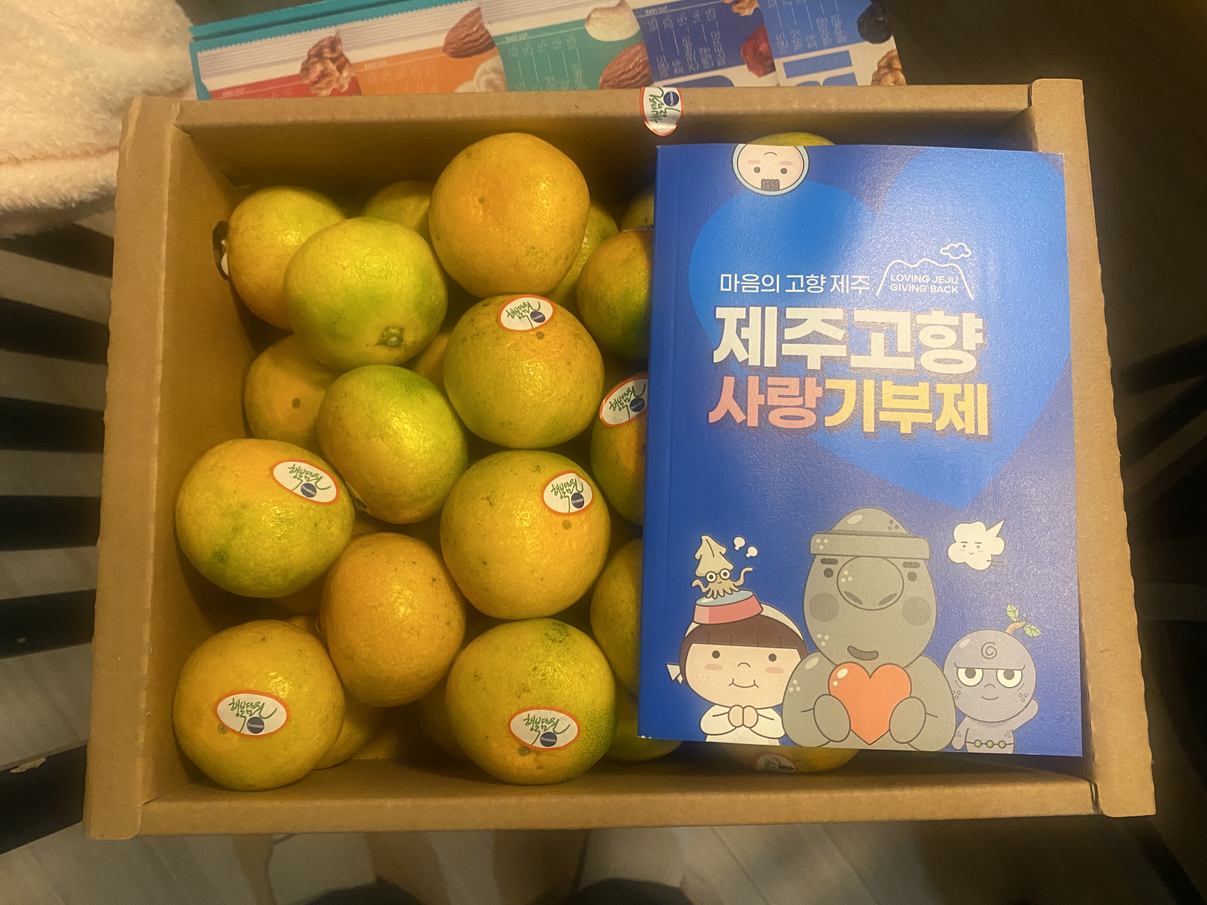 효돈 농협 프리미엄 감귤 (3kg/5kg)-1