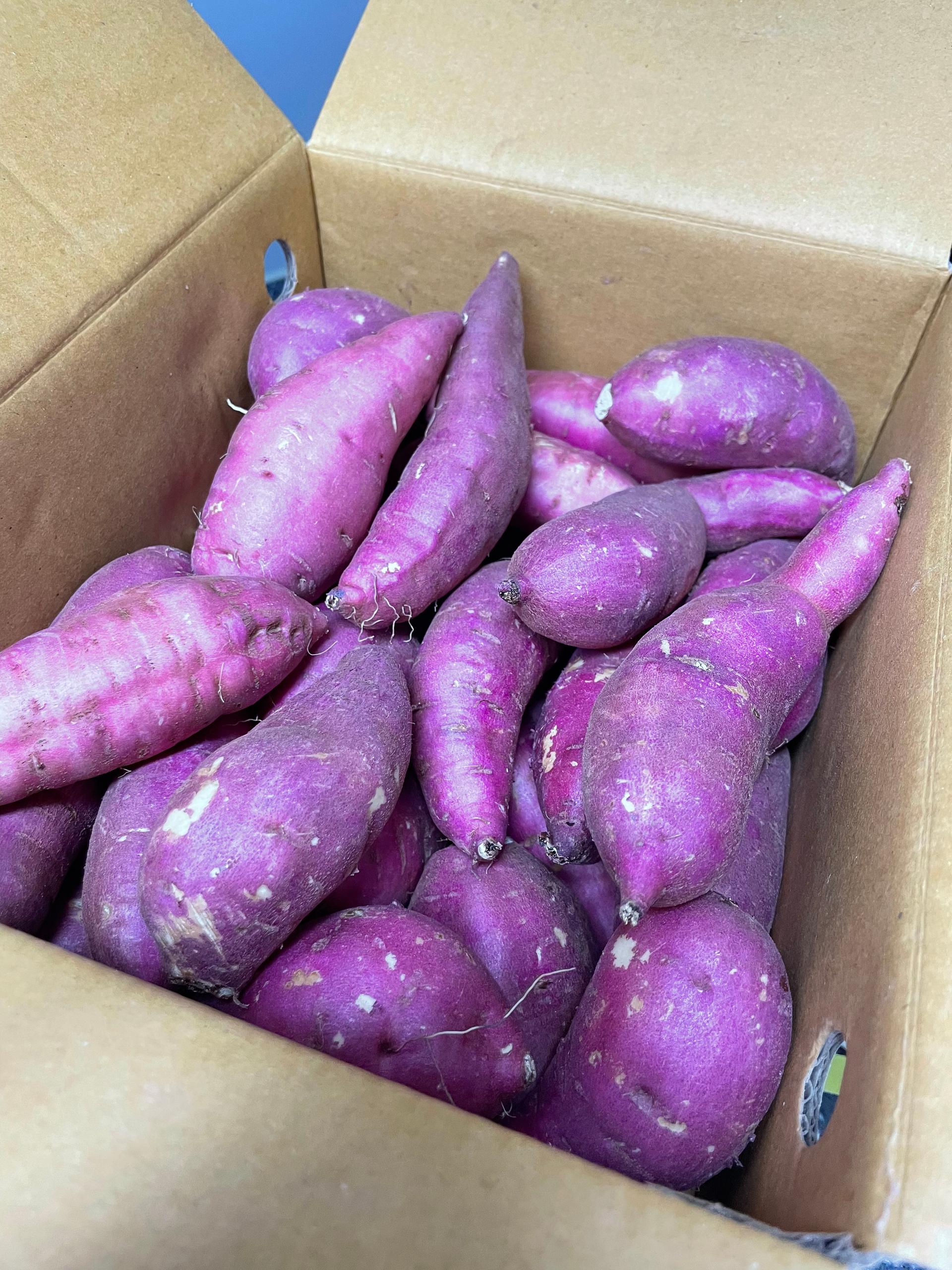 무농약 김의준 햇꿀고구마 (하6kg)