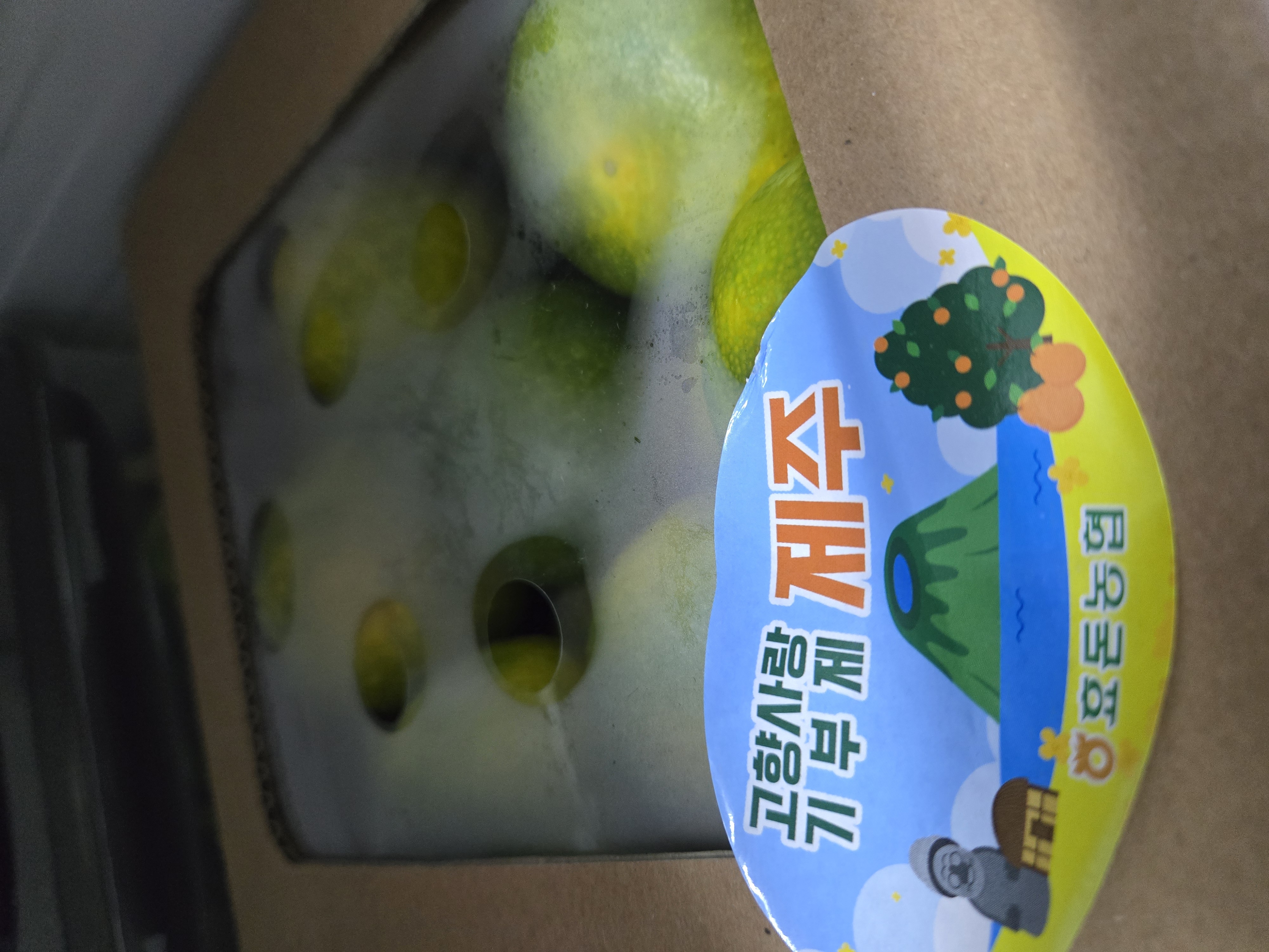 효돈 농협 프리미엄 감귤 (3kg/5kg)-1