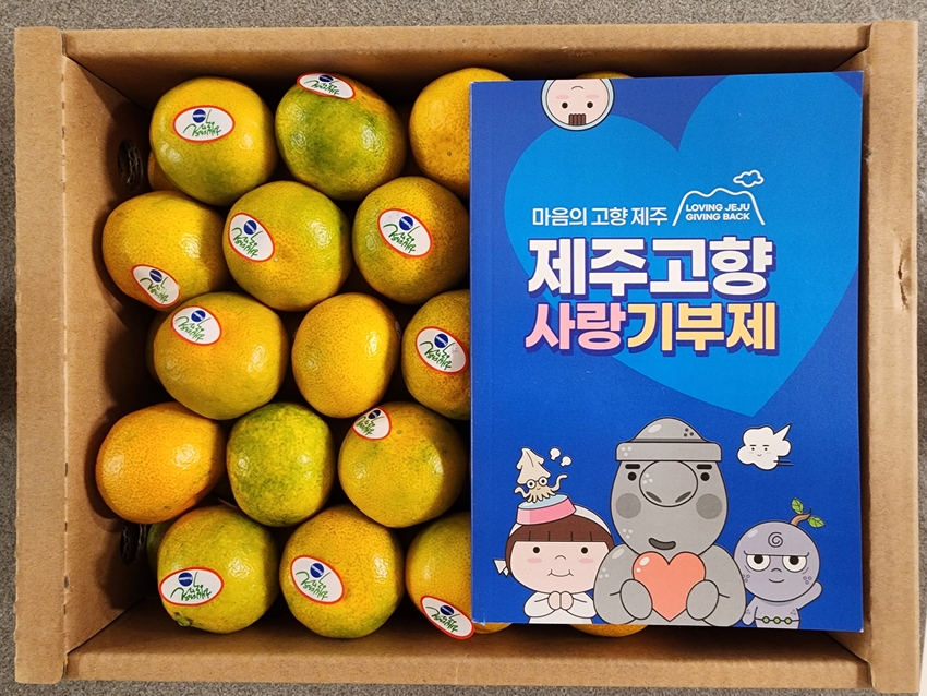 포토후기 이미지