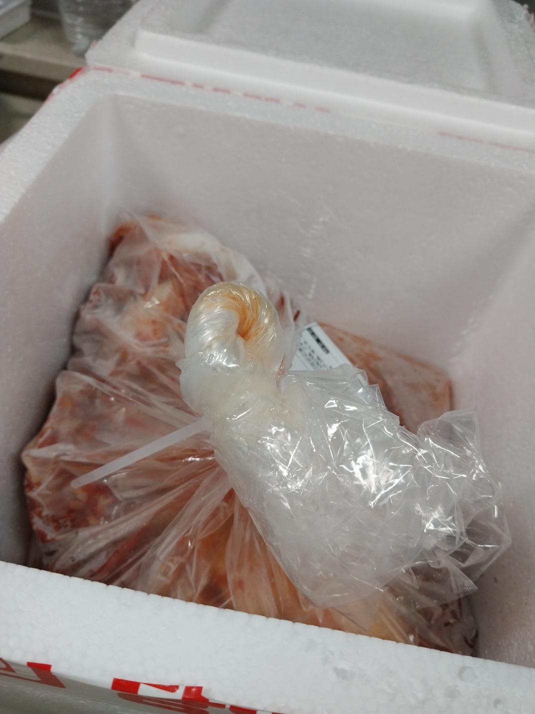 남도 김장김치 3kg +2kg 추가증정-2