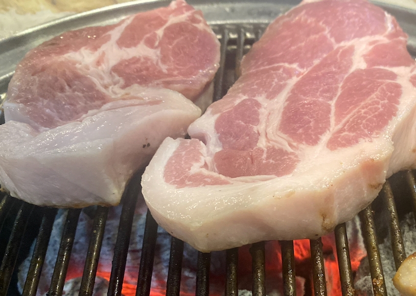 포토후기 이미지