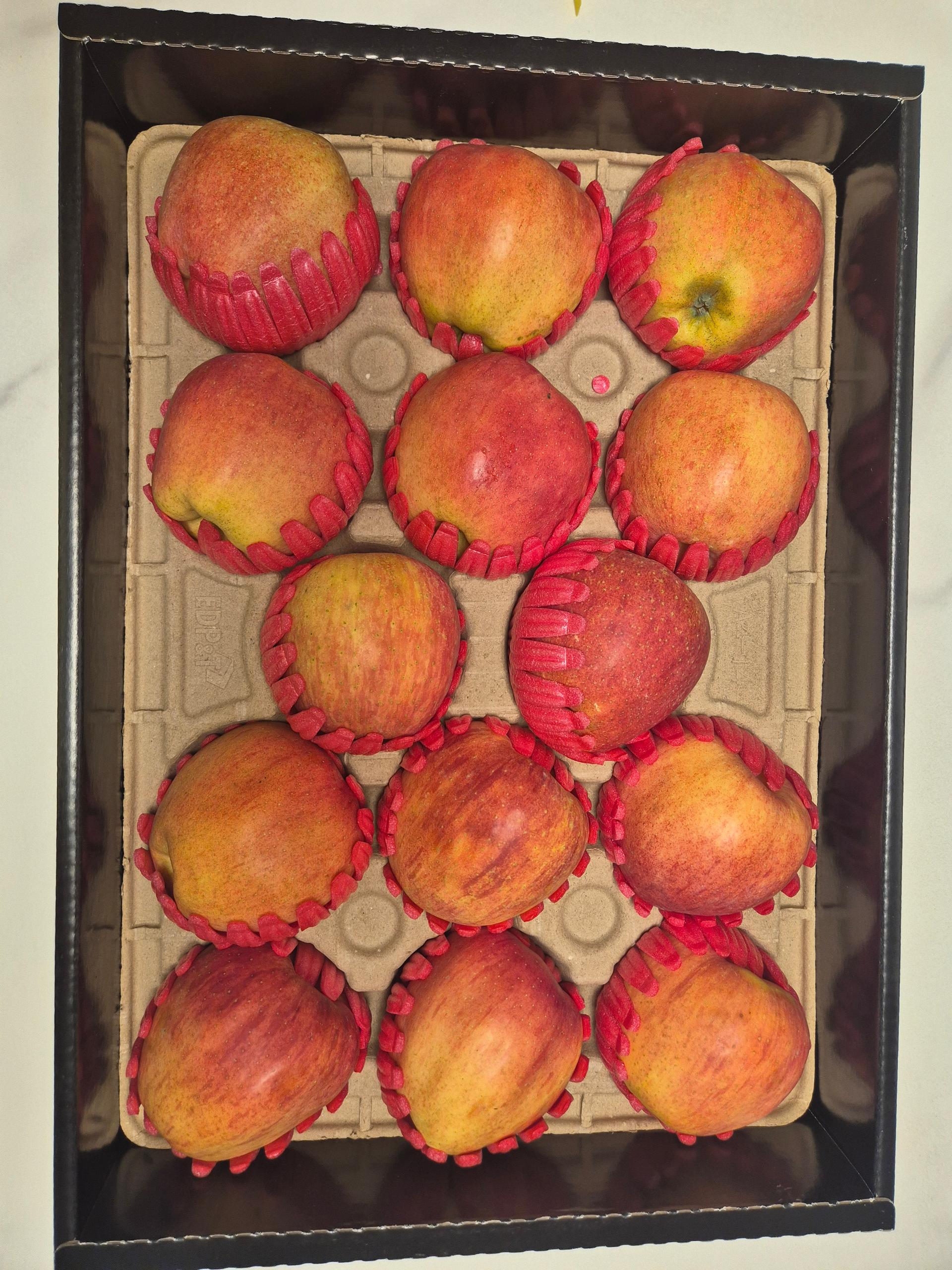 대경사과원예농협 영주사과 3.2kg 선물세트 (11입내)+1kg 추가증정 이미지