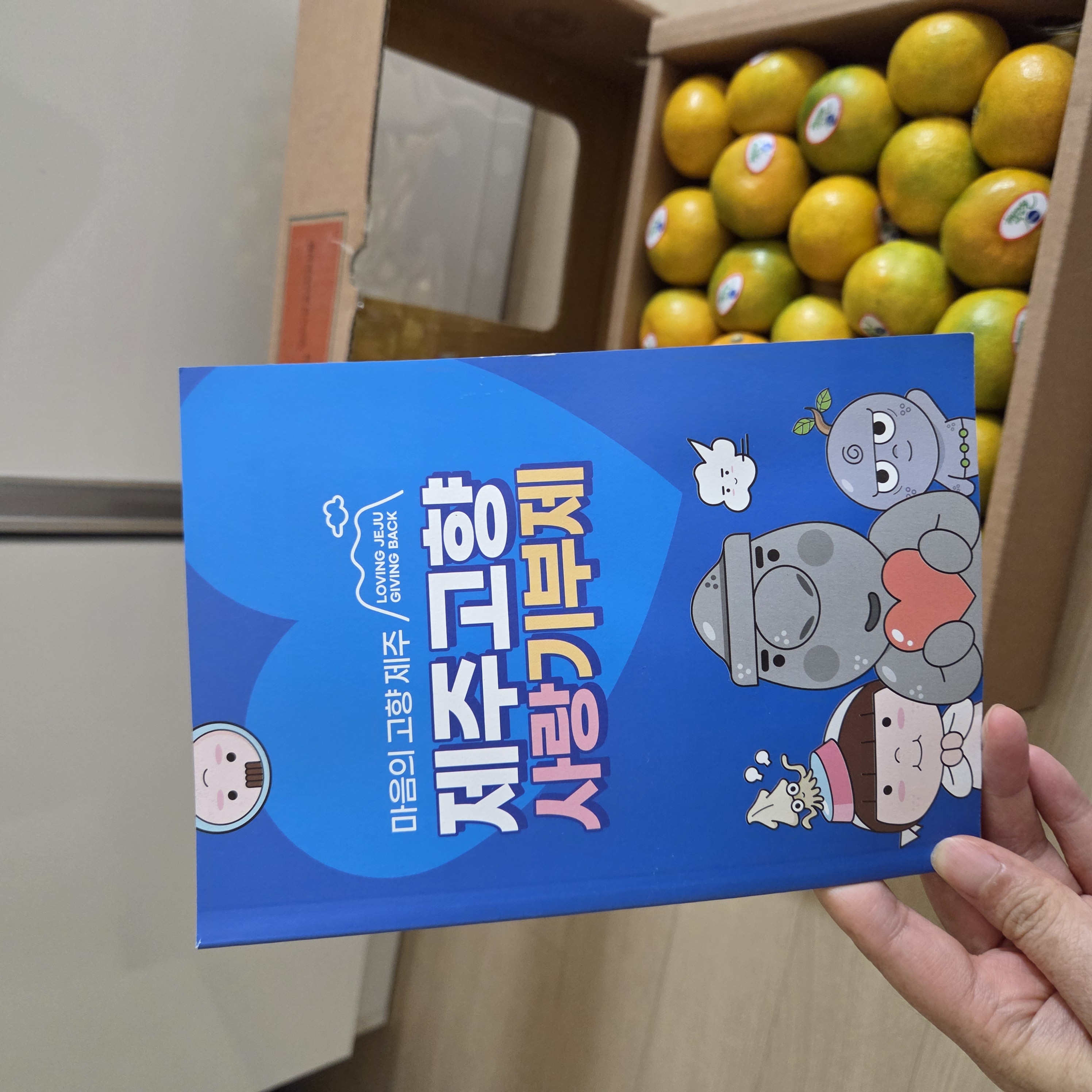 효돈 농협 프리미엄 감귤 (3kg/5kg)-1