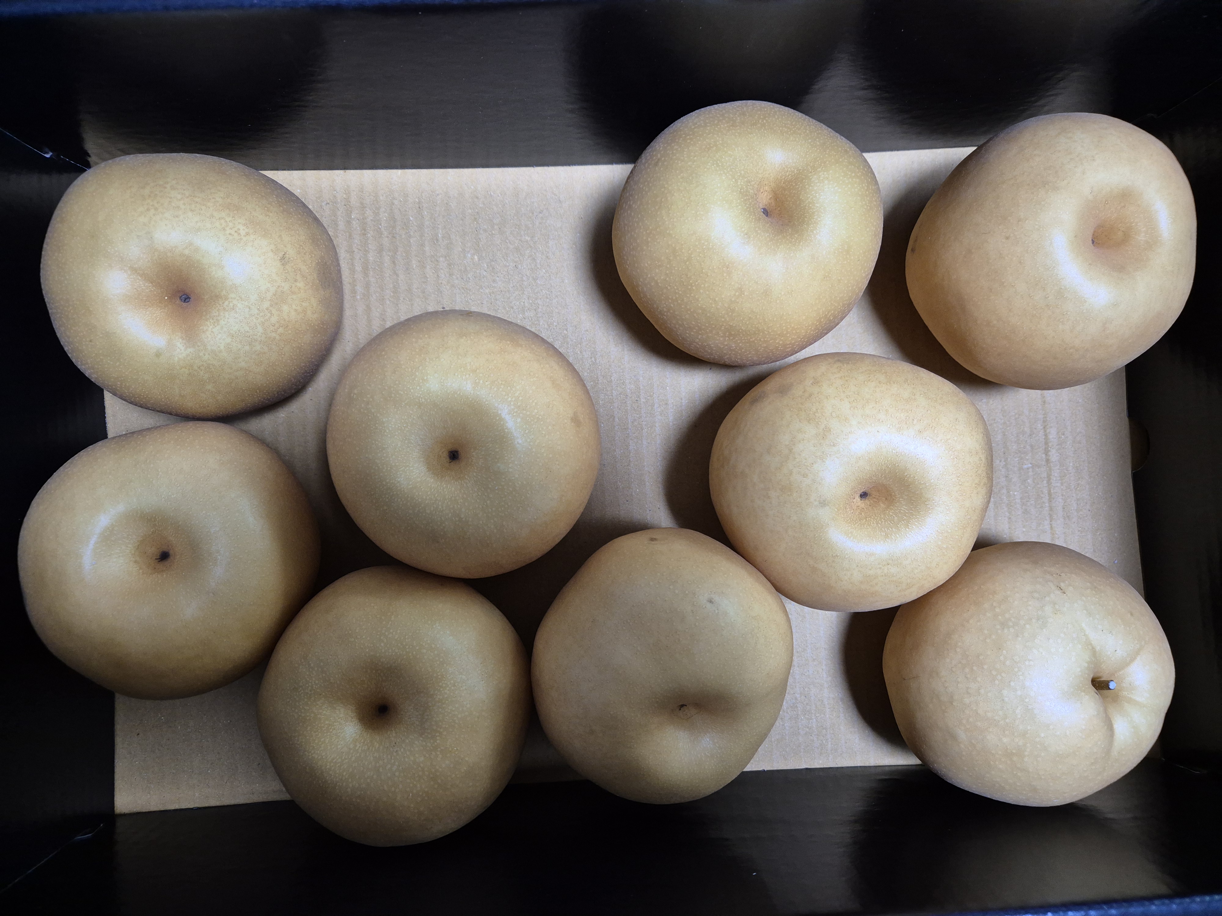 전남 나주 나주배 선물세트 5kg, 7.5kg-1
