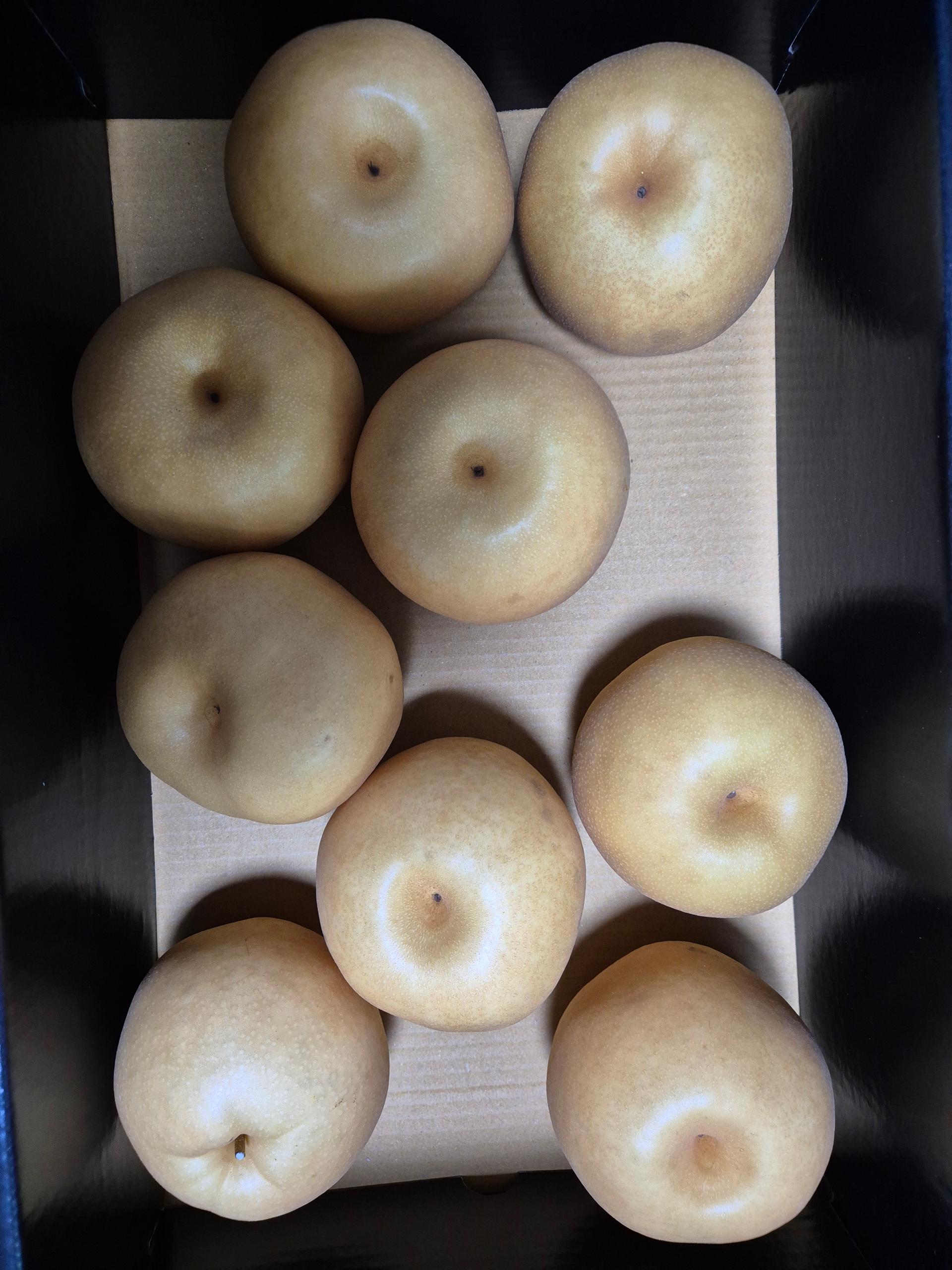 포토후기 이미지