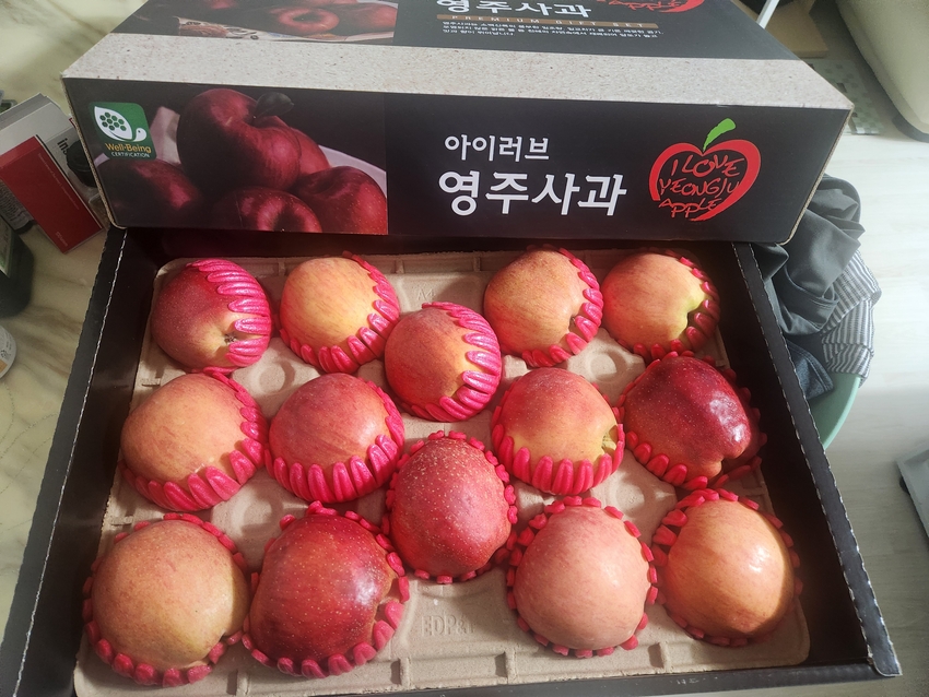 포토후기 이미지