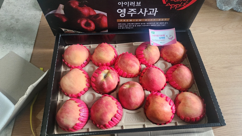 포토후기 이미지