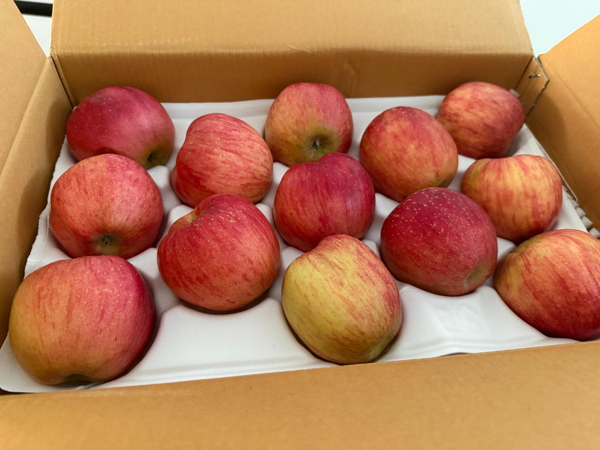 풍기농협 영주사과 3.5kg 이미지