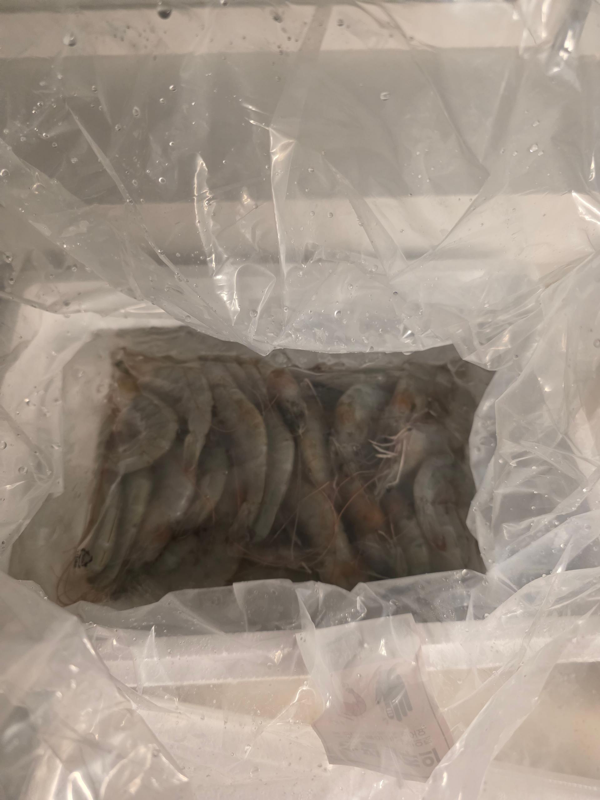 우리바다에서 길러낸 국산 왕새우 1.5kg 이미지