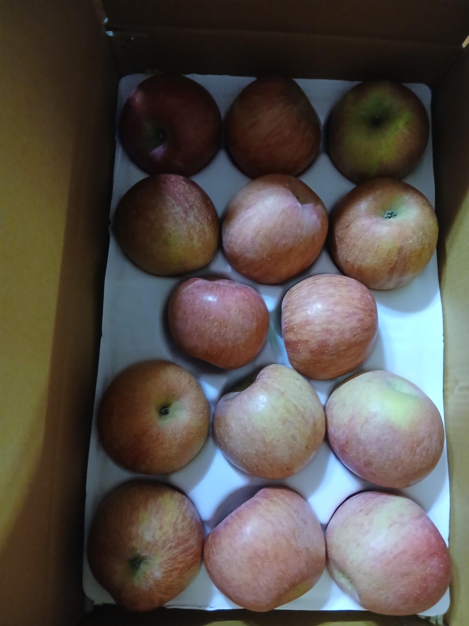 풍기농협 영주사과 3.5kg 이미지