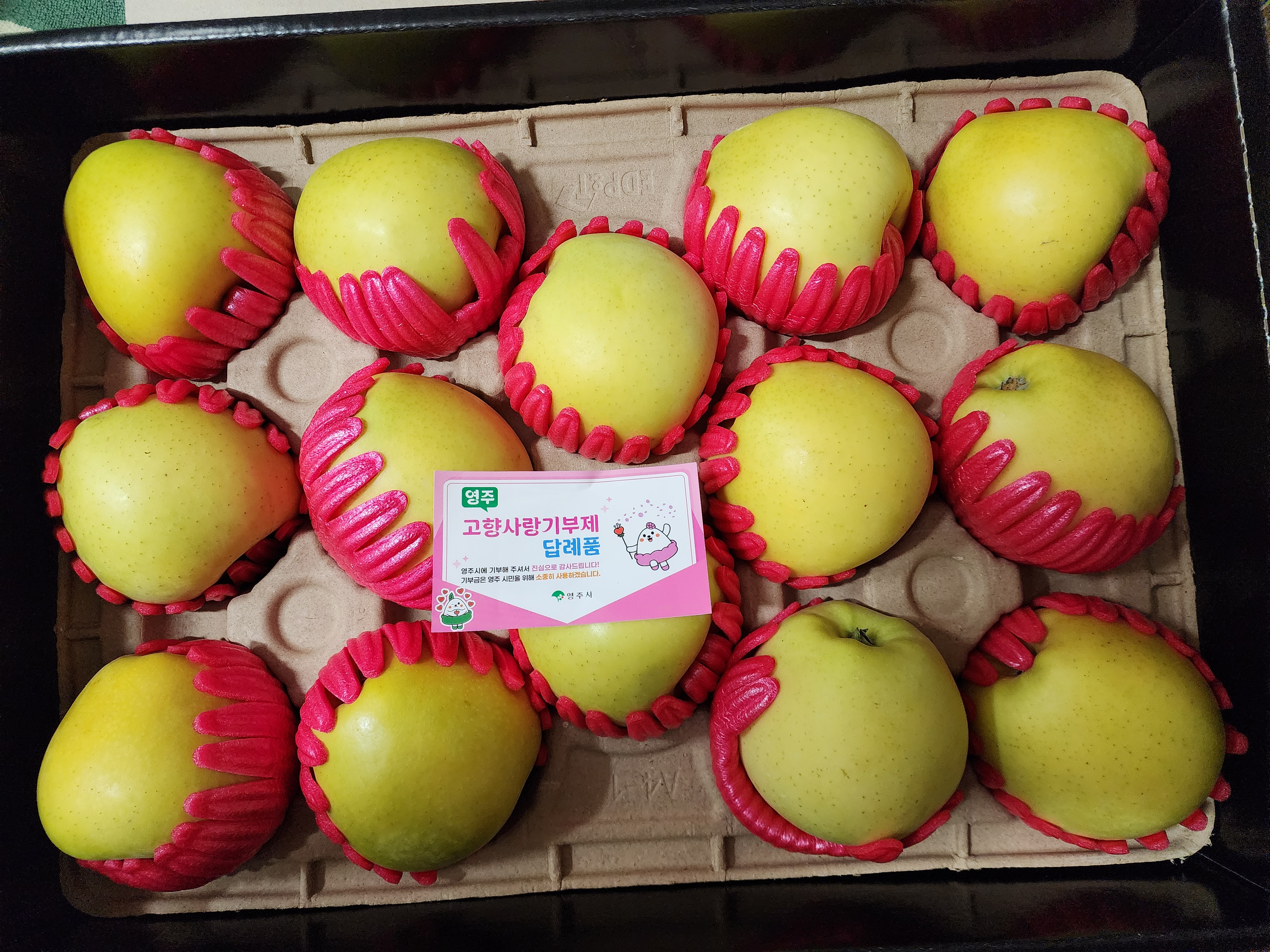 대경사과원예농협 영주사과 3.2kg 선물세트 (11입내)+1kg 추가증정-1