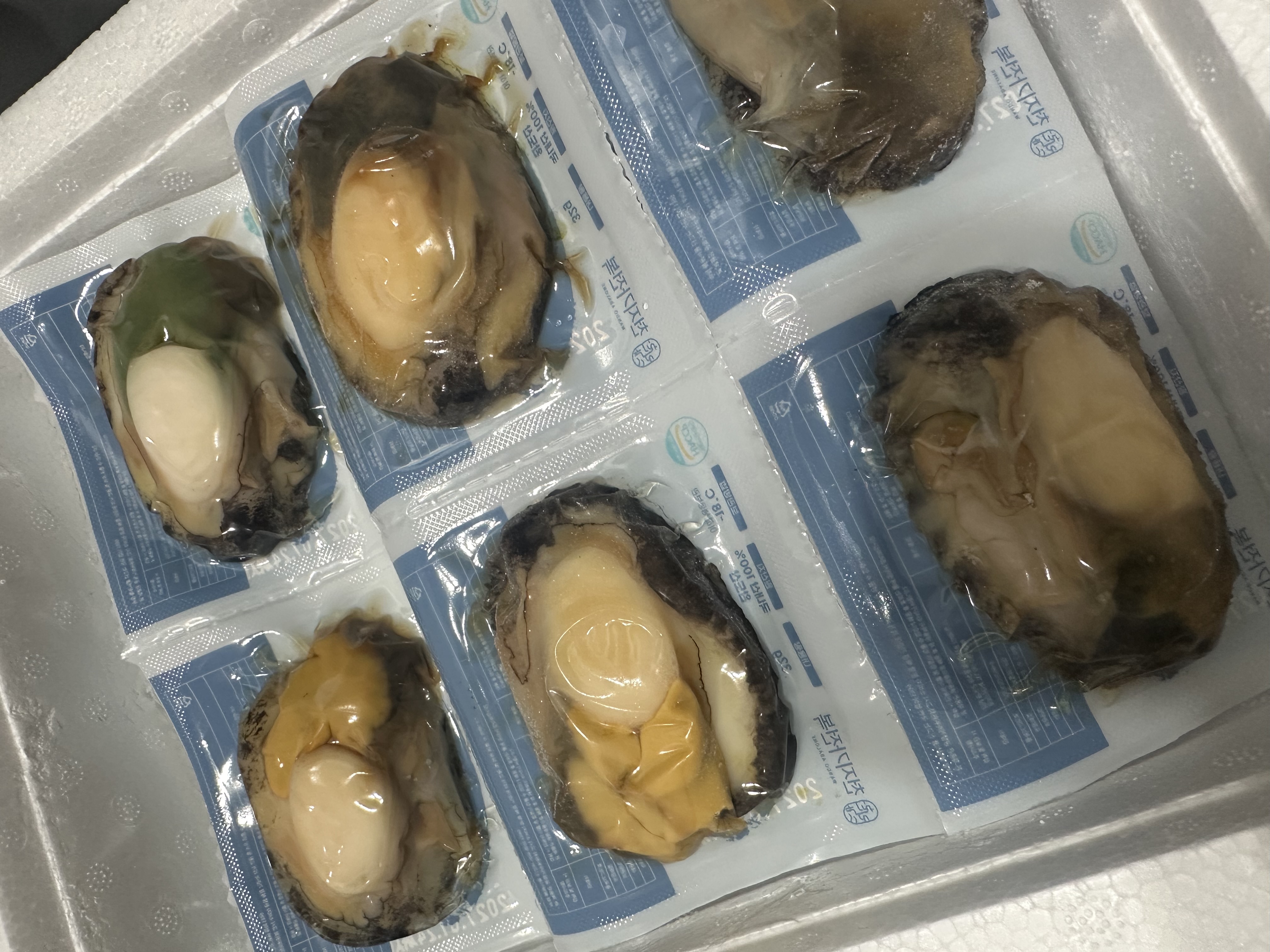 손질전복 12마리 (6마리 x 2팩)-1