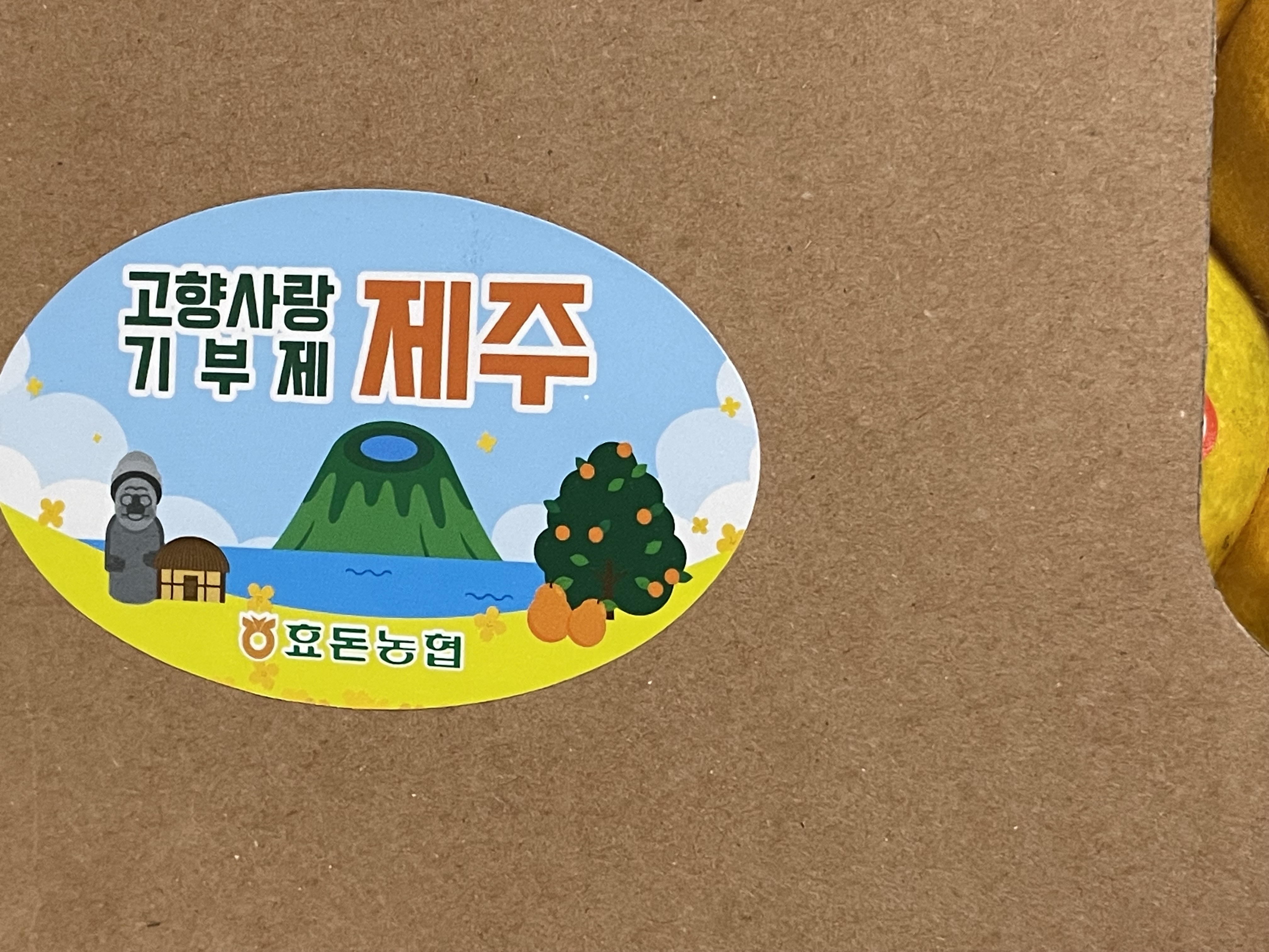 효돈 농협 프리미엄 감귤 (3kg/5kg)-2