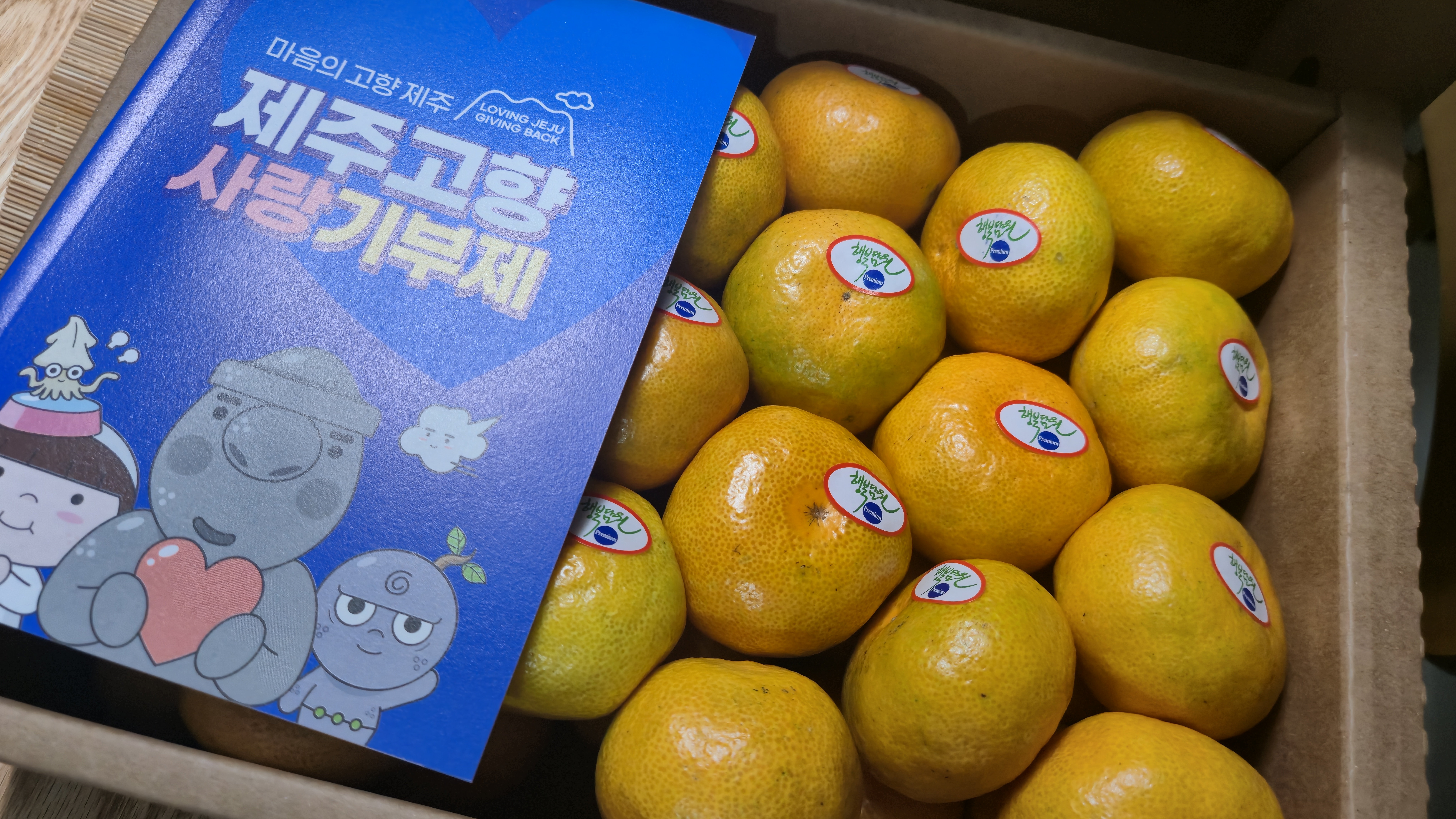 효돈 농협 프리미엄 감귤 (3kg/5kg)-1