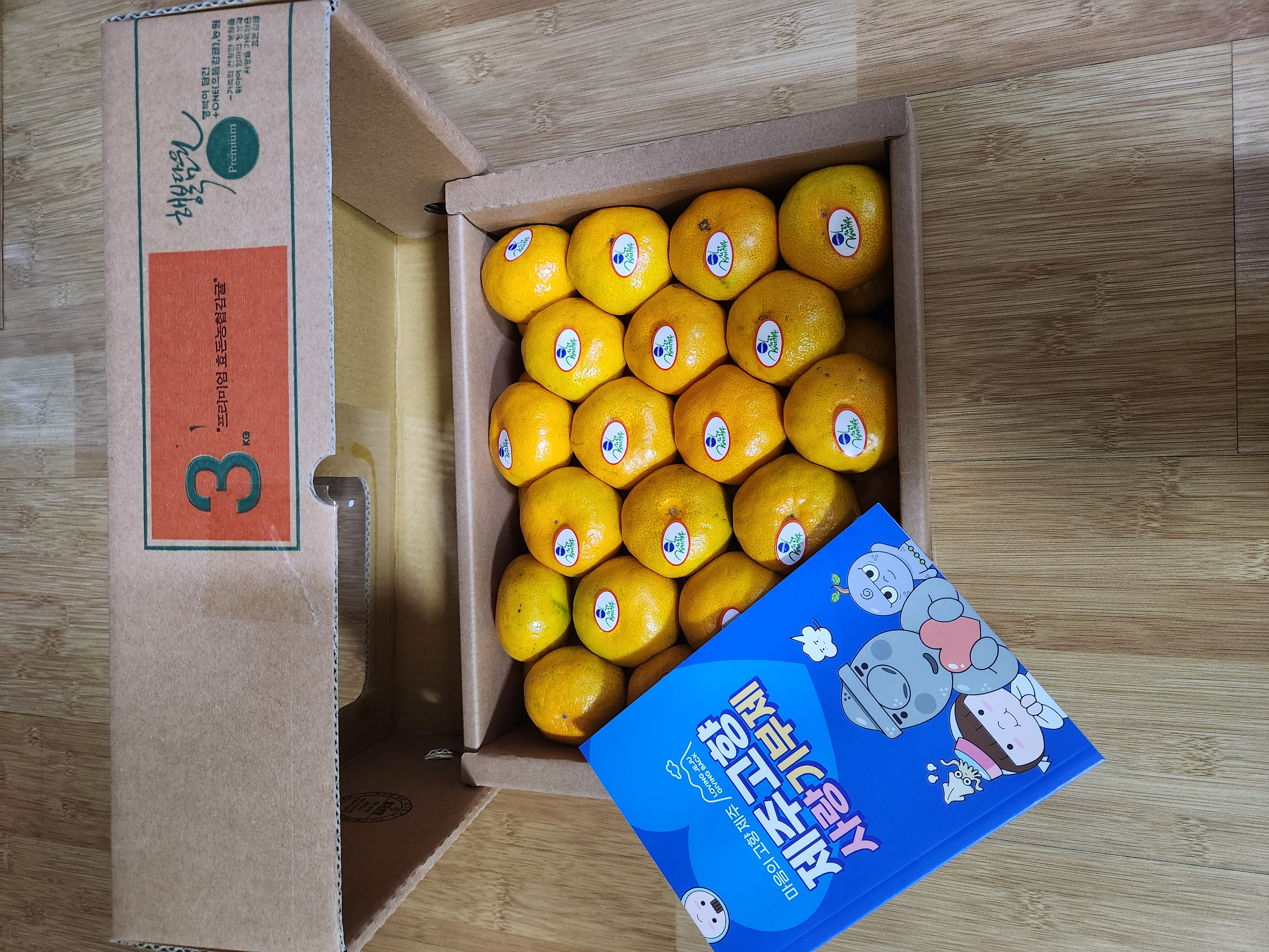 효돈 농협 프리미엄 감귤 (3kg/5kg)-1