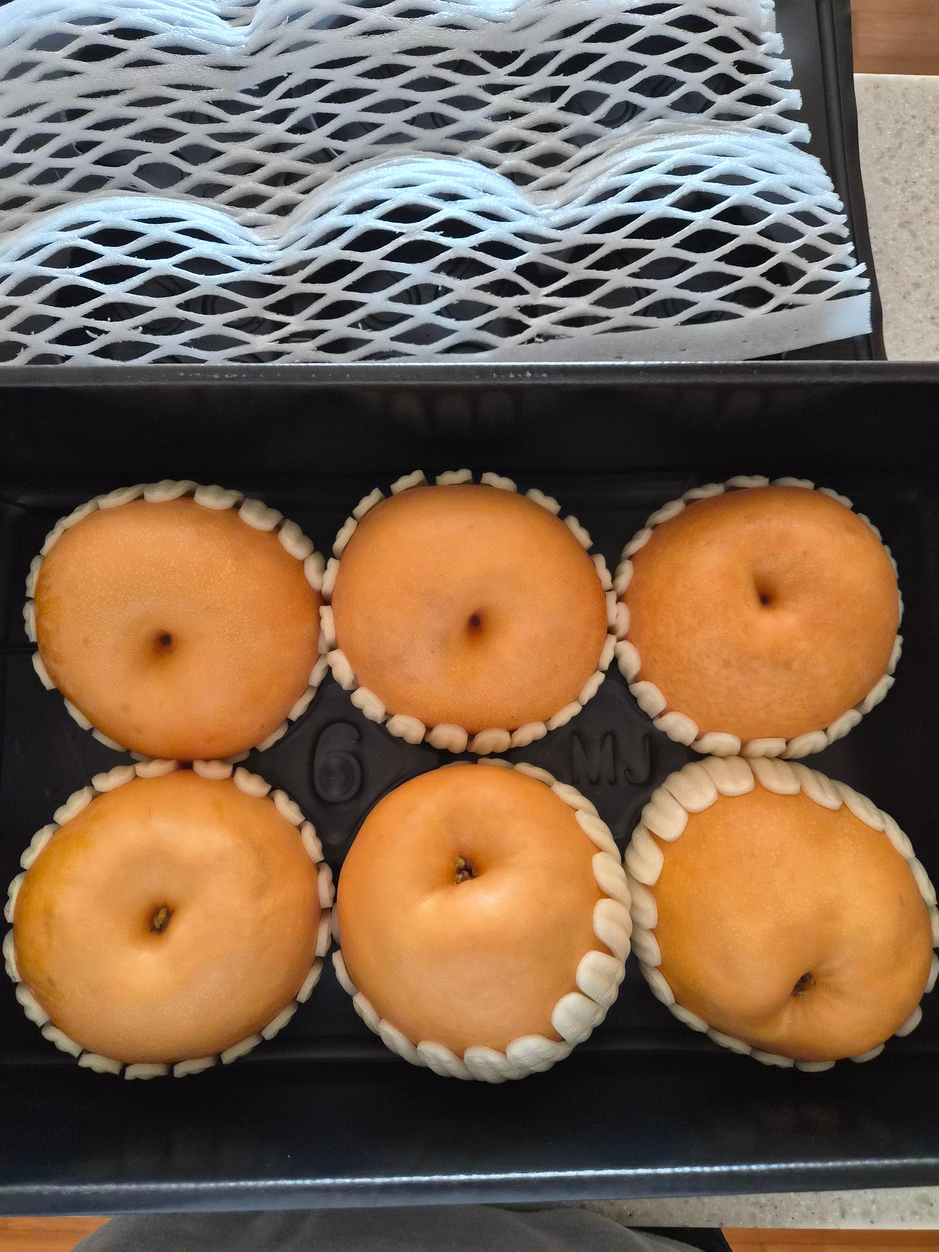 포토후기 이미지