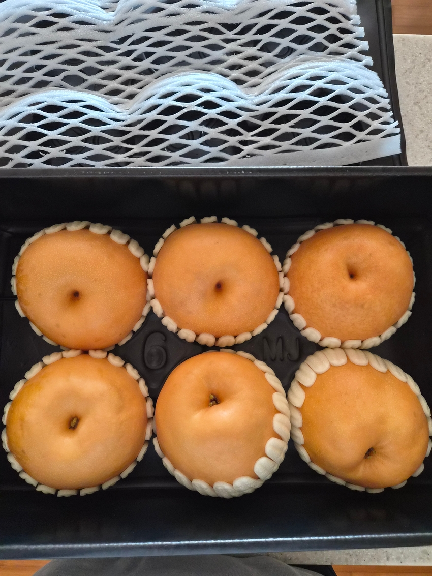 포토후기 이미지