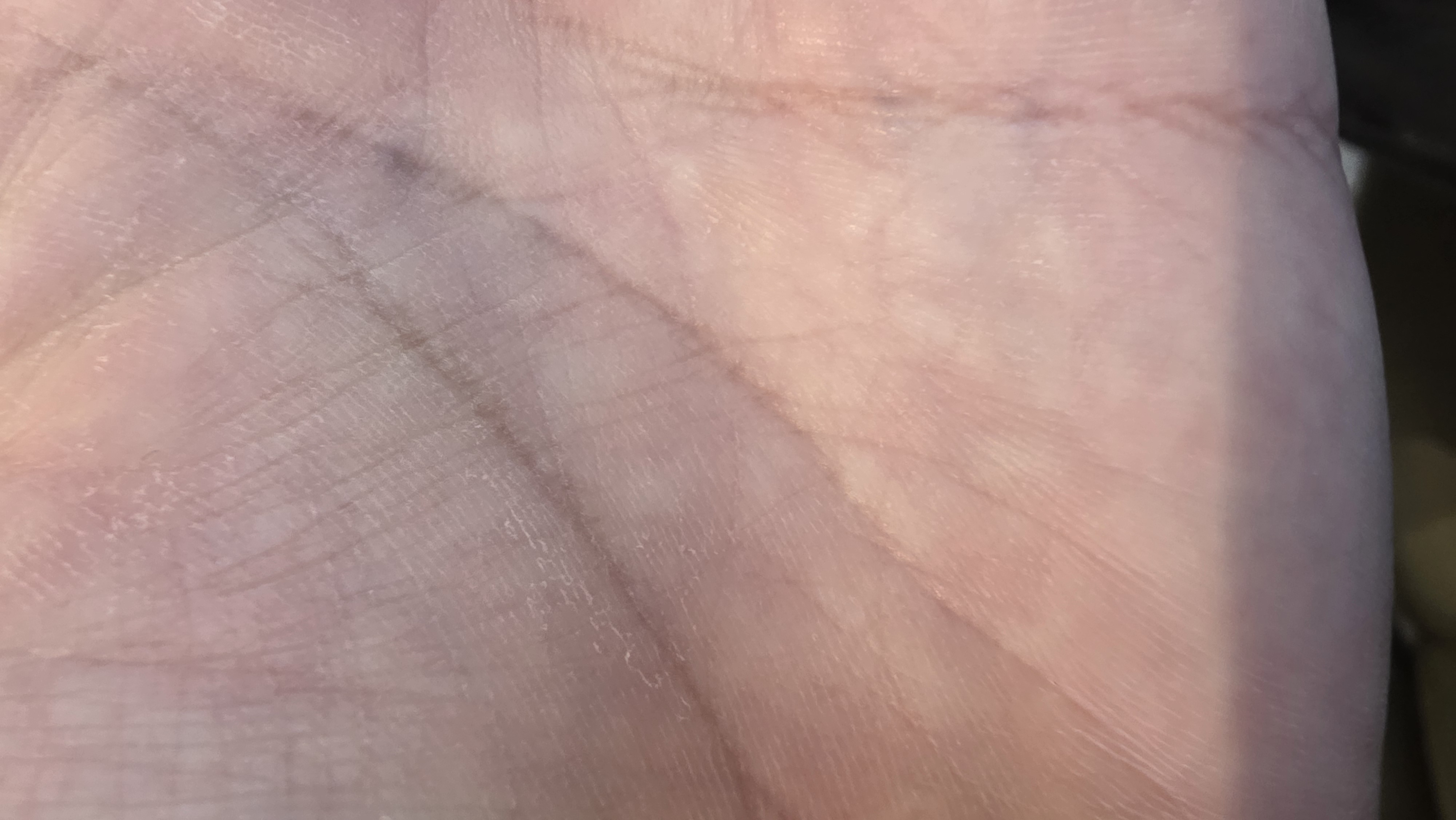 제주양돈농협 삼겹구이용 (500g 2개) + 앞다리 300g 선물 세트-1