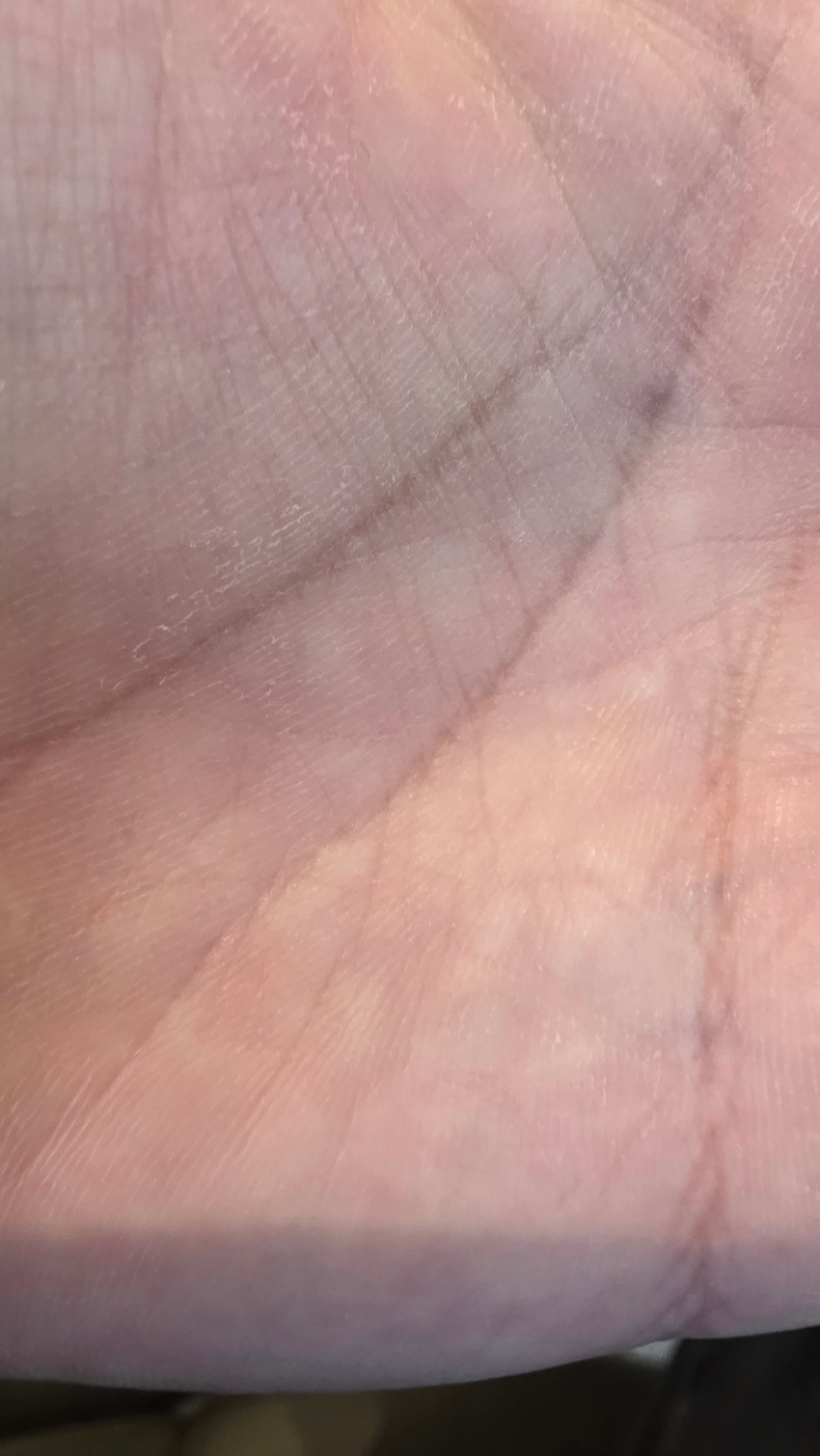 포토후기 이미지