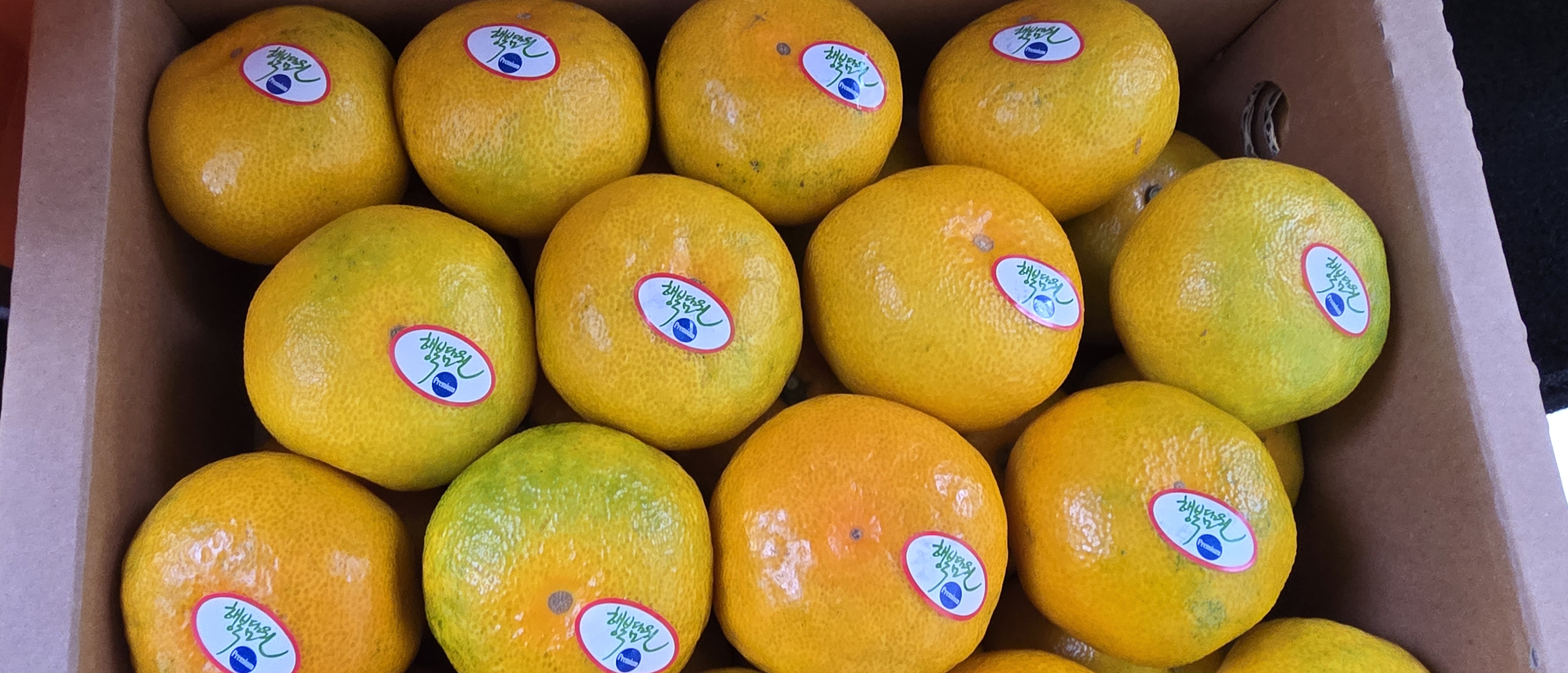 효돈 농협 프리미엄 감귤 (3kg/5kg)-1