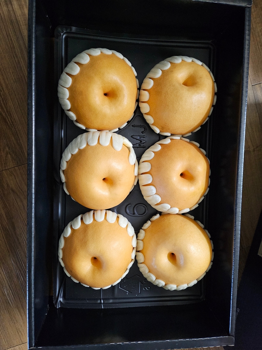 포토후기 이미지