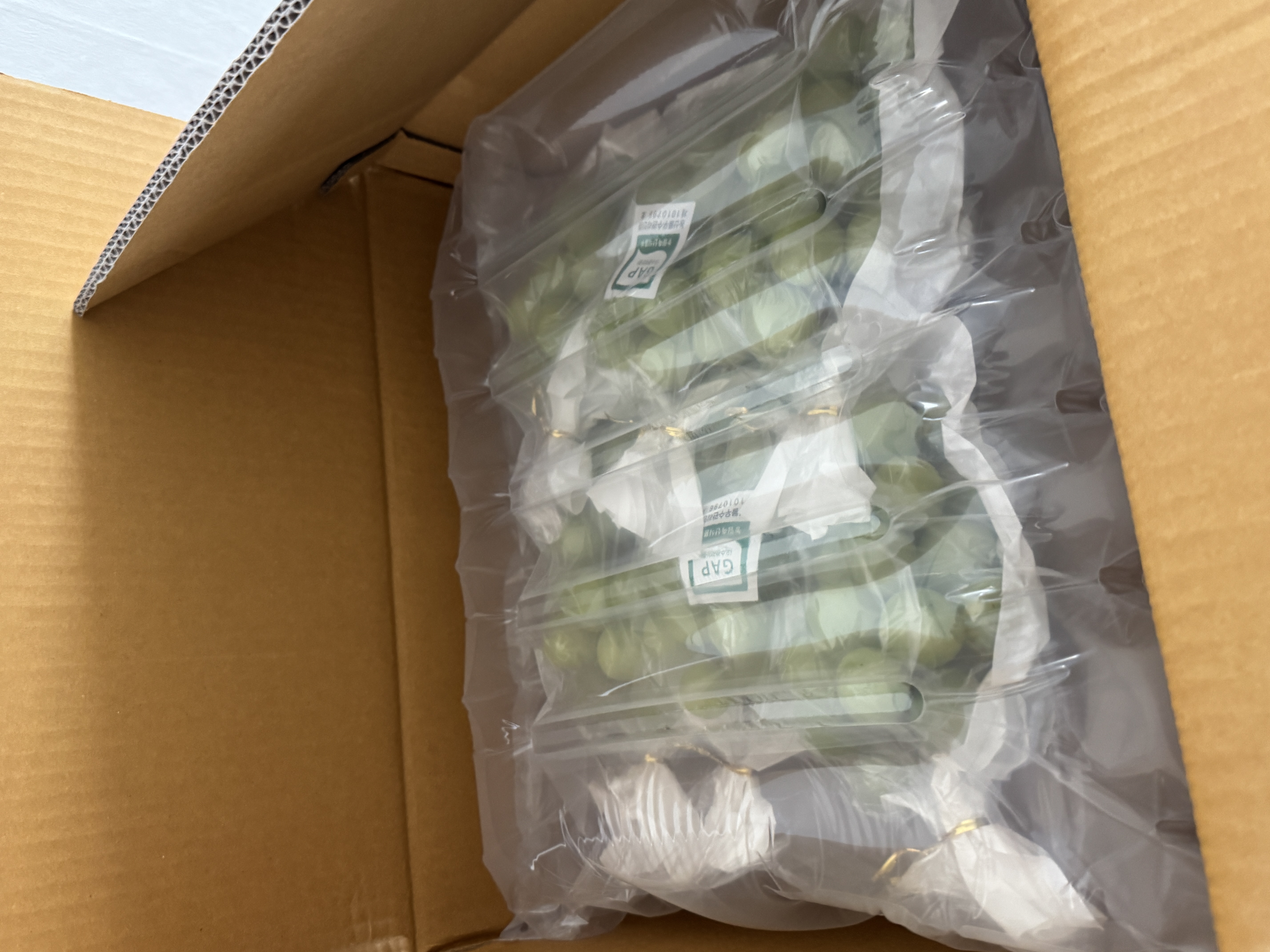 샤인머스켓 3kg-3