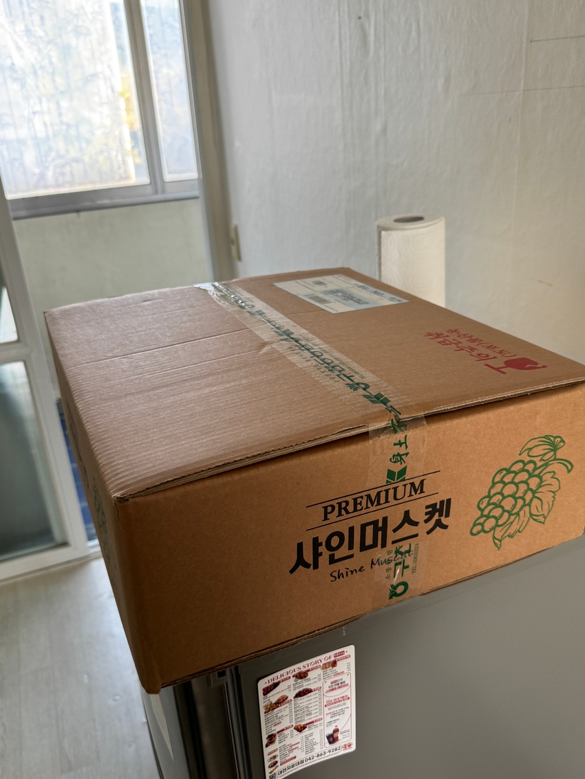 포토후기 이미지