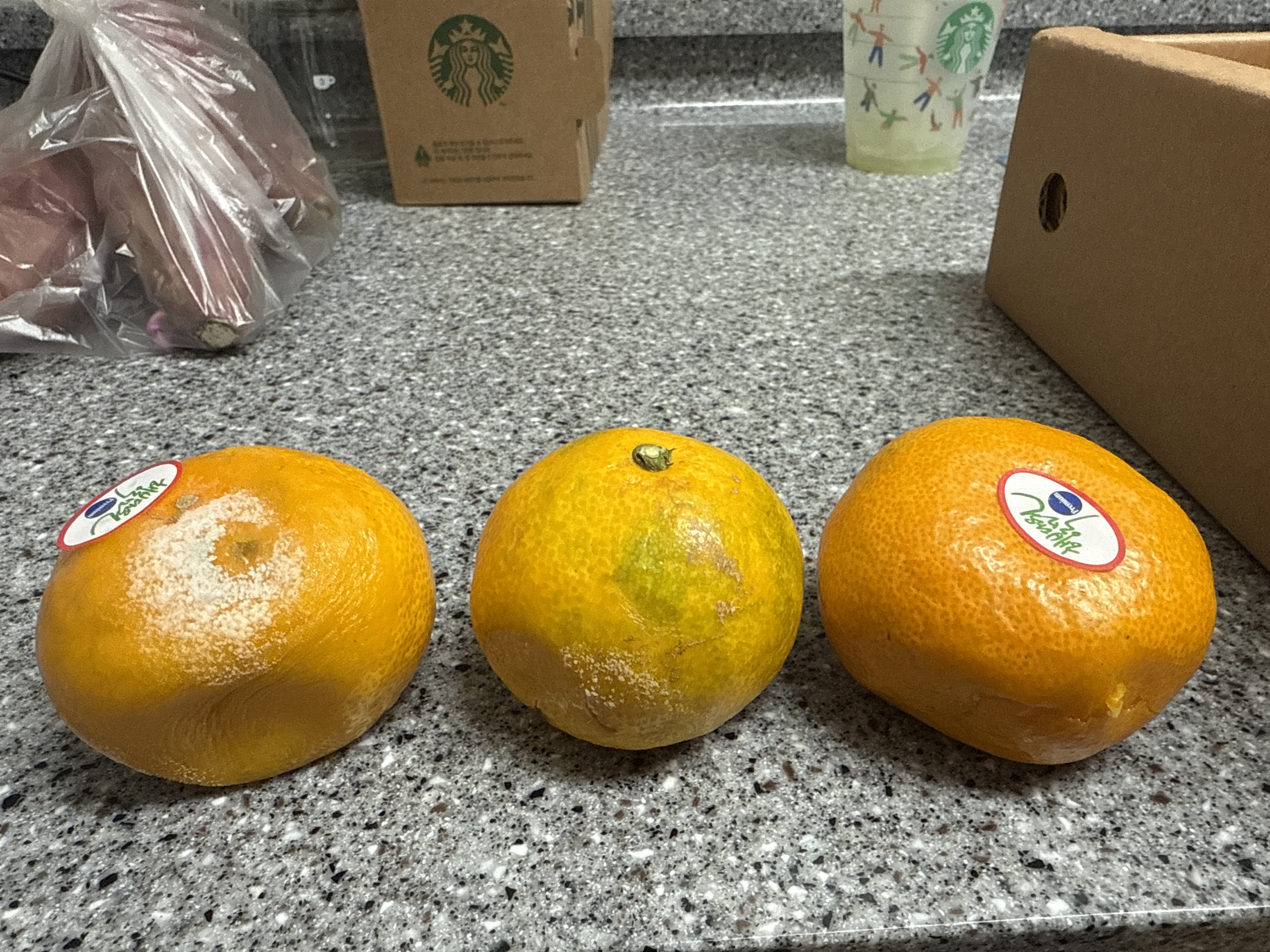 효돈 농협 프리미엄 감귤 (3kg/5kg)-2