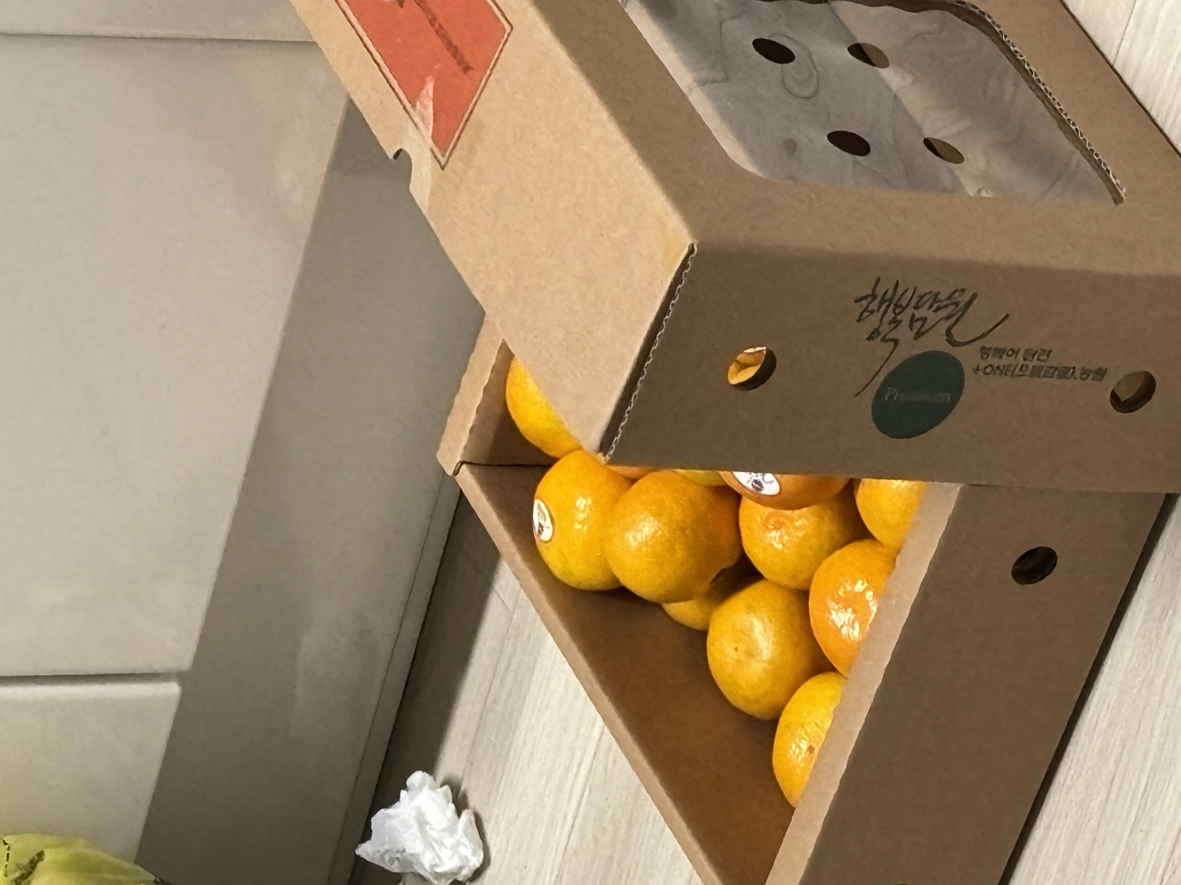 효돈 농협 프리미엄 감귤 (3kg/5kg)-1