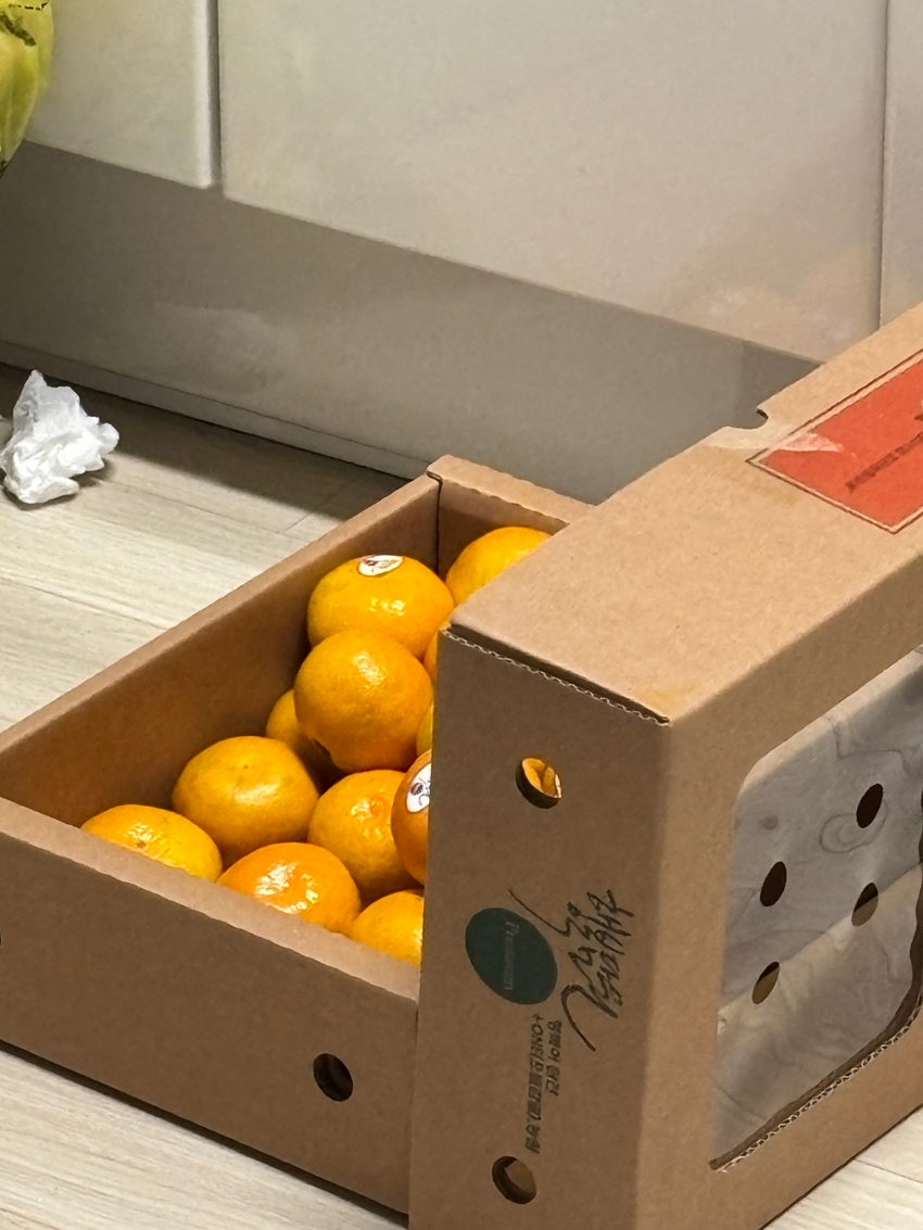 포토후기 이미지