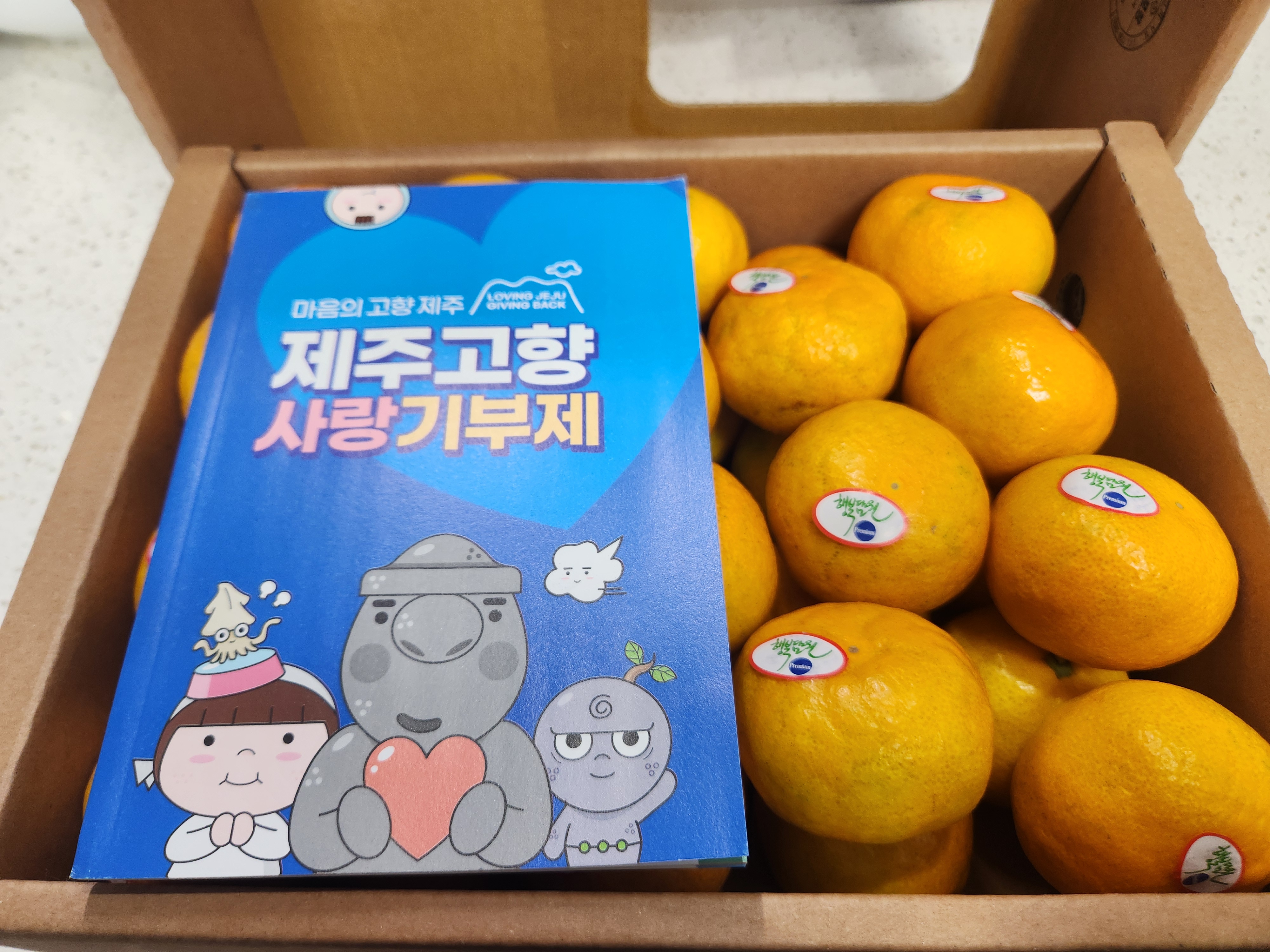 효돈 농협 프리미엄 감귤 (3kg/5kg)-1