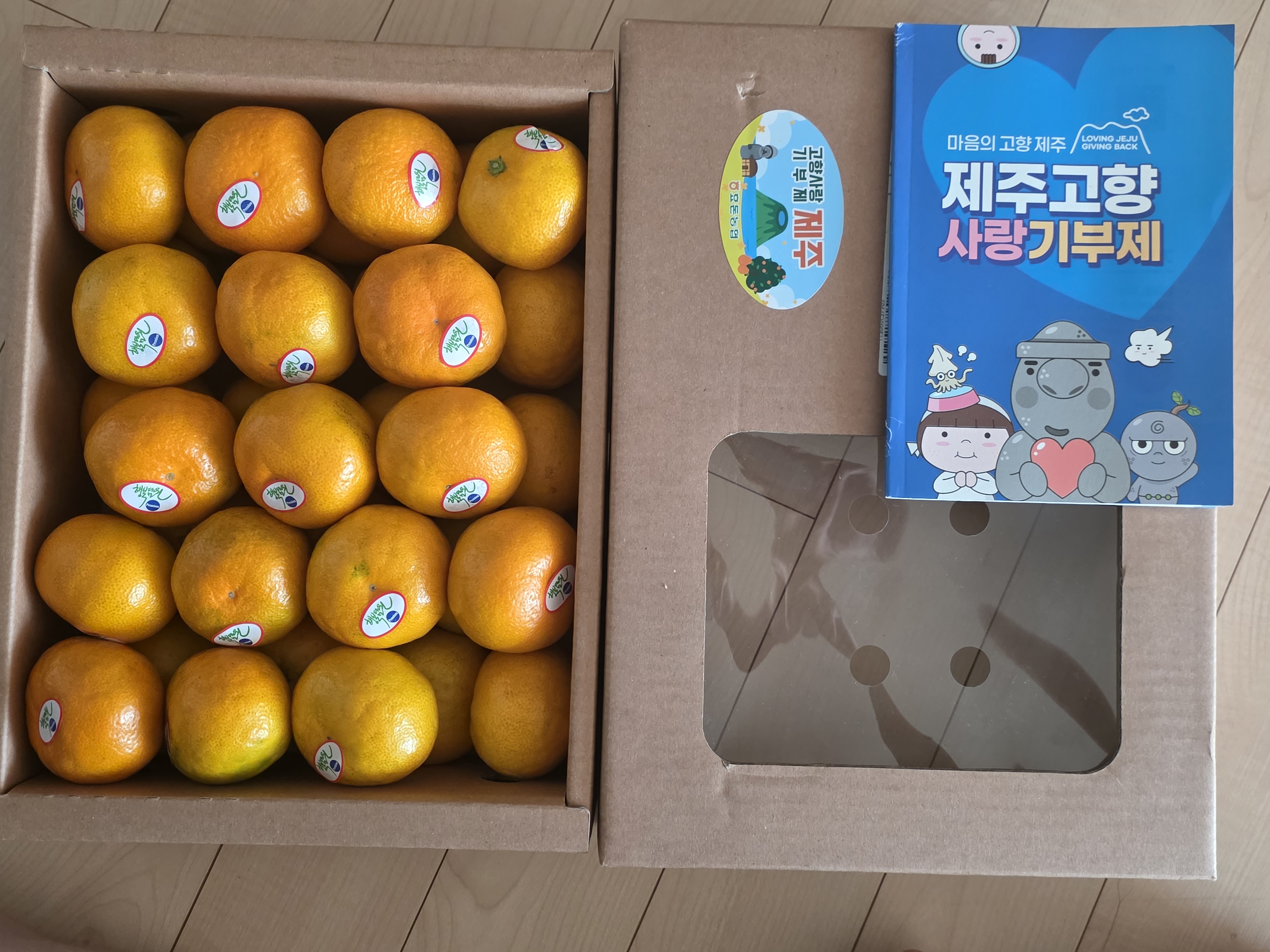 효돈 농협 프리미엄 감귤 (3kg/5kg)-1