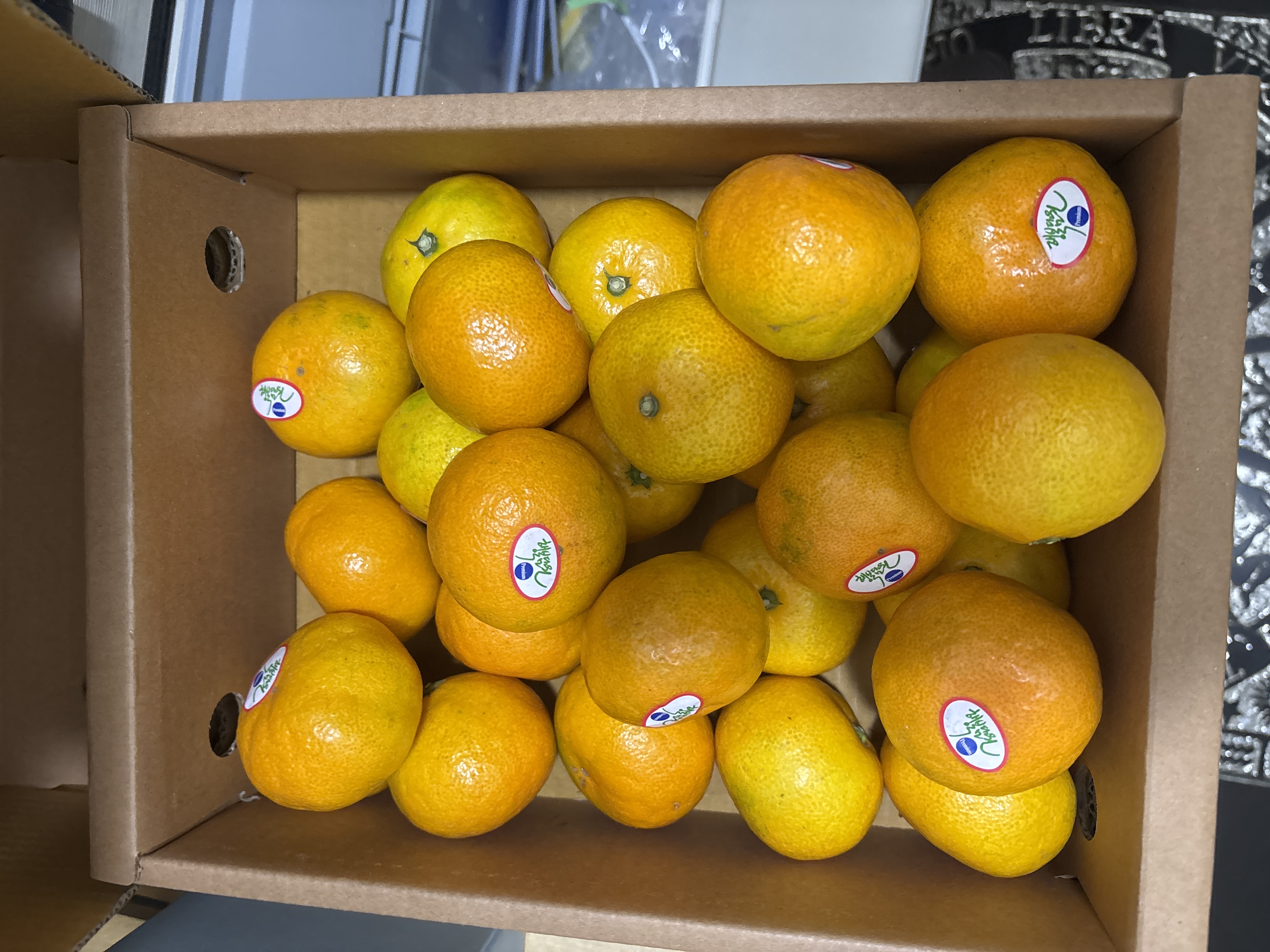 효돈 농협 프리미엄 감귤 (3kg/5kg)-1