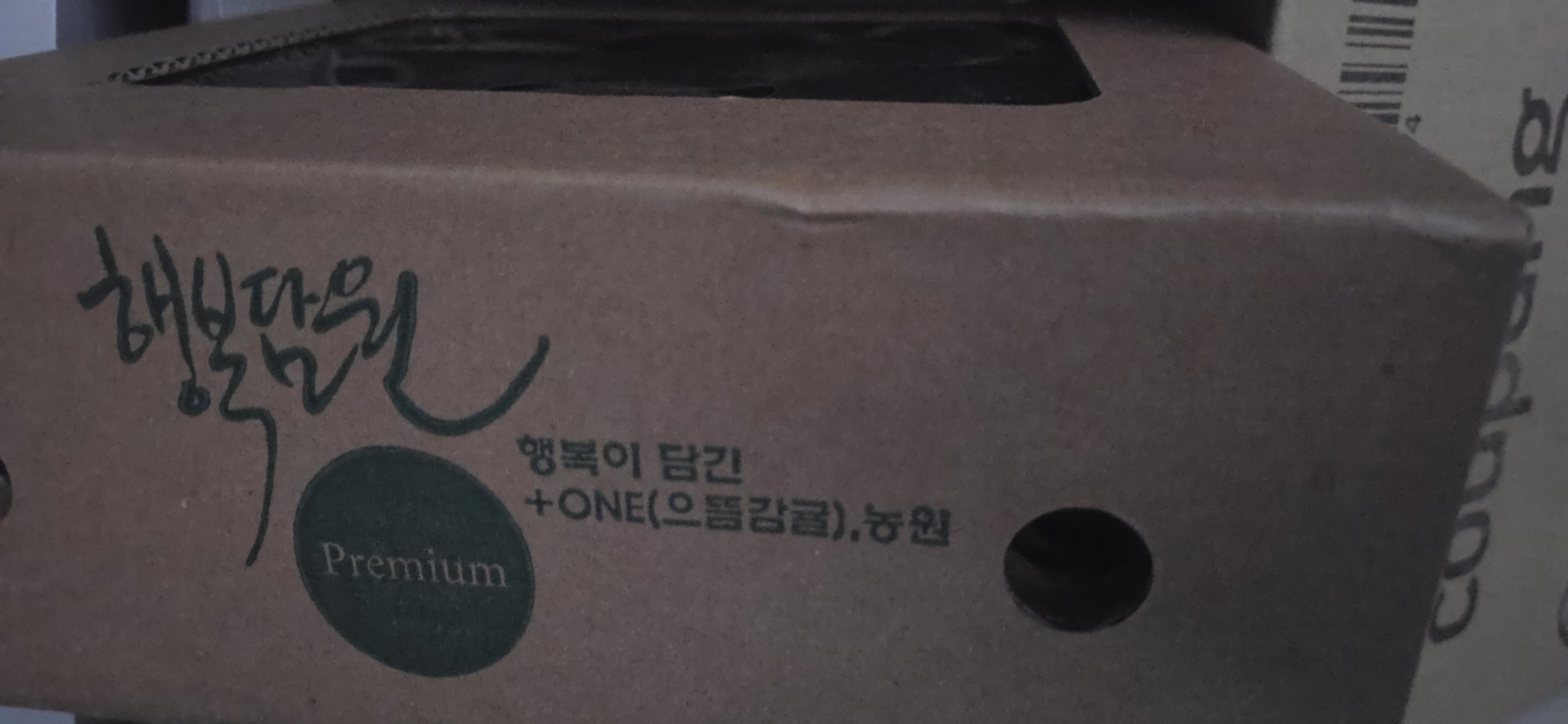 효돈 농협 프리미엄 감귤 (3kg/5kg)-1