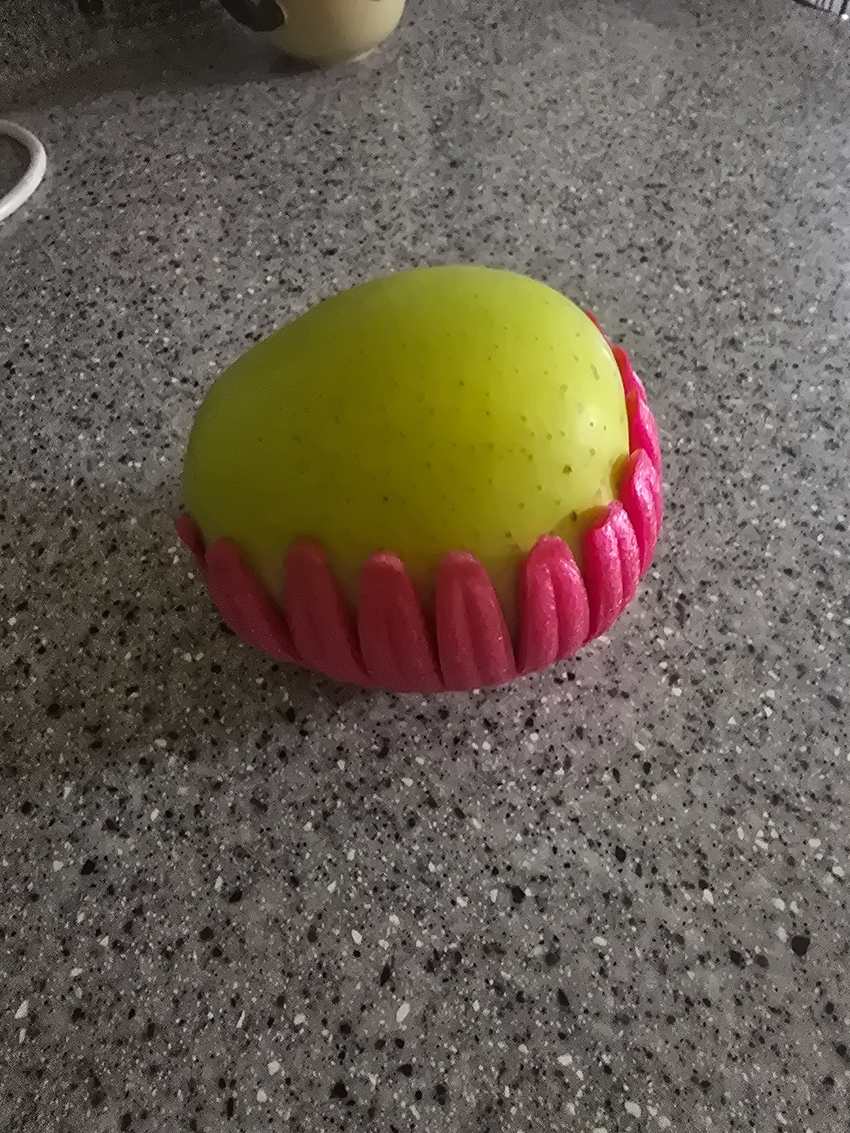 포토후기 이미지