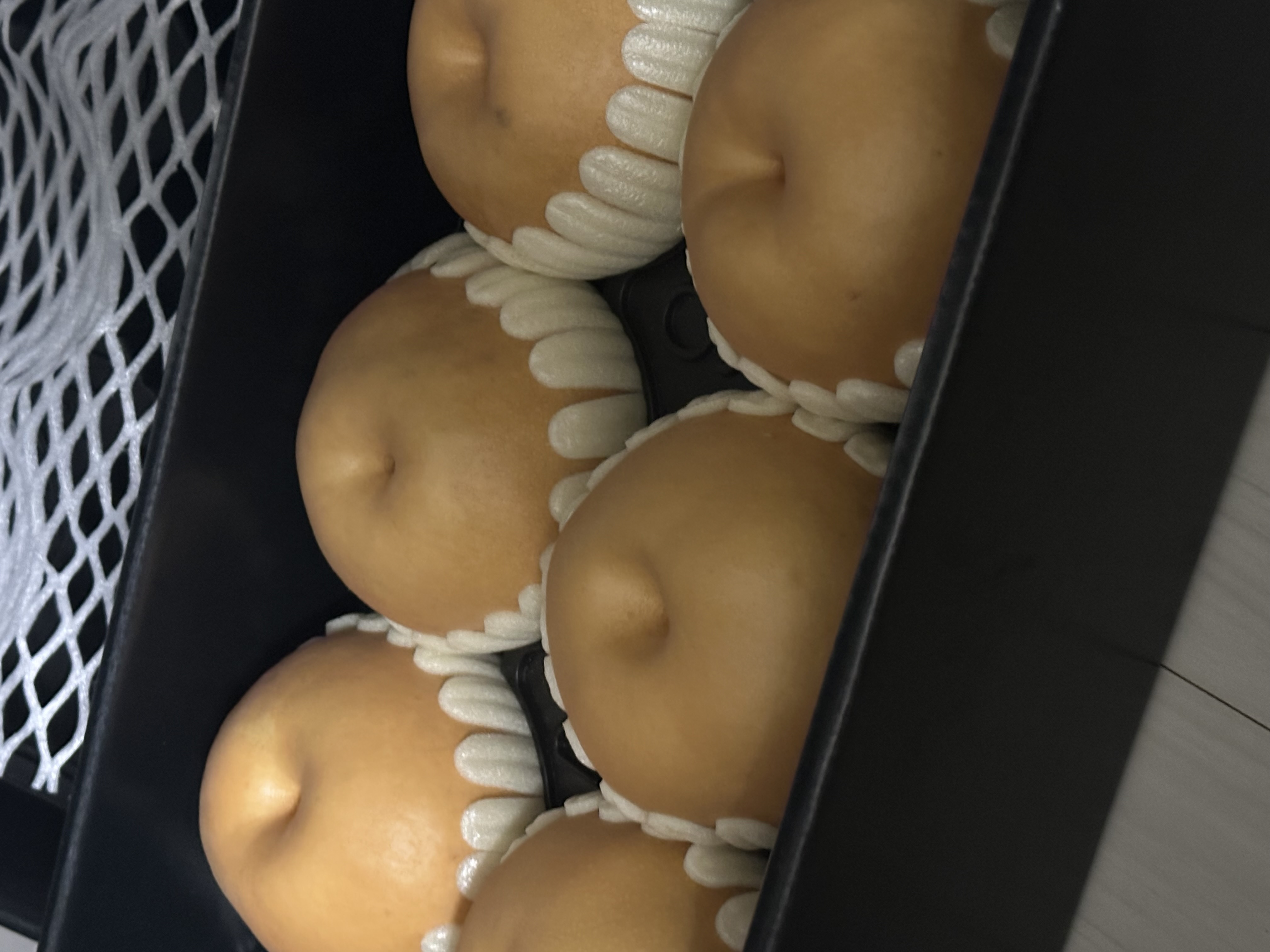 전남 나주 나주배 선물세트 5kg, 7.5kg-1