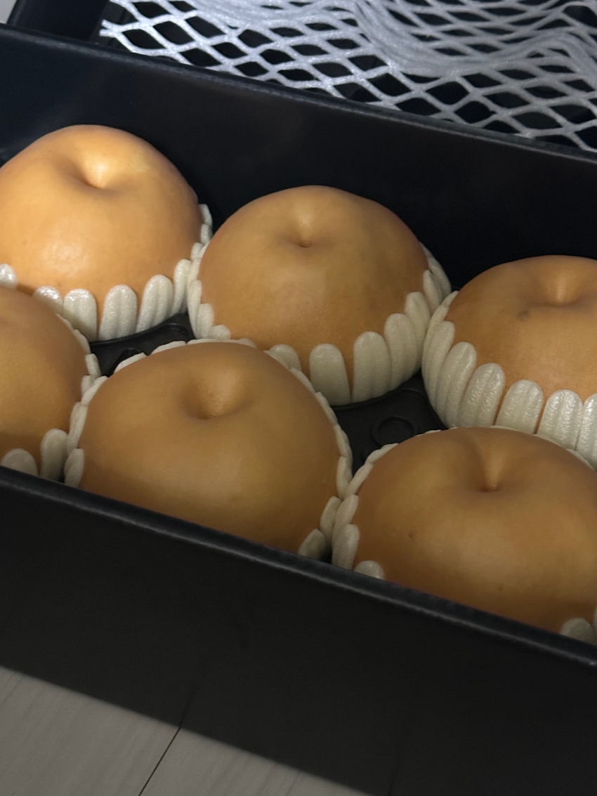 포토후기 이미지