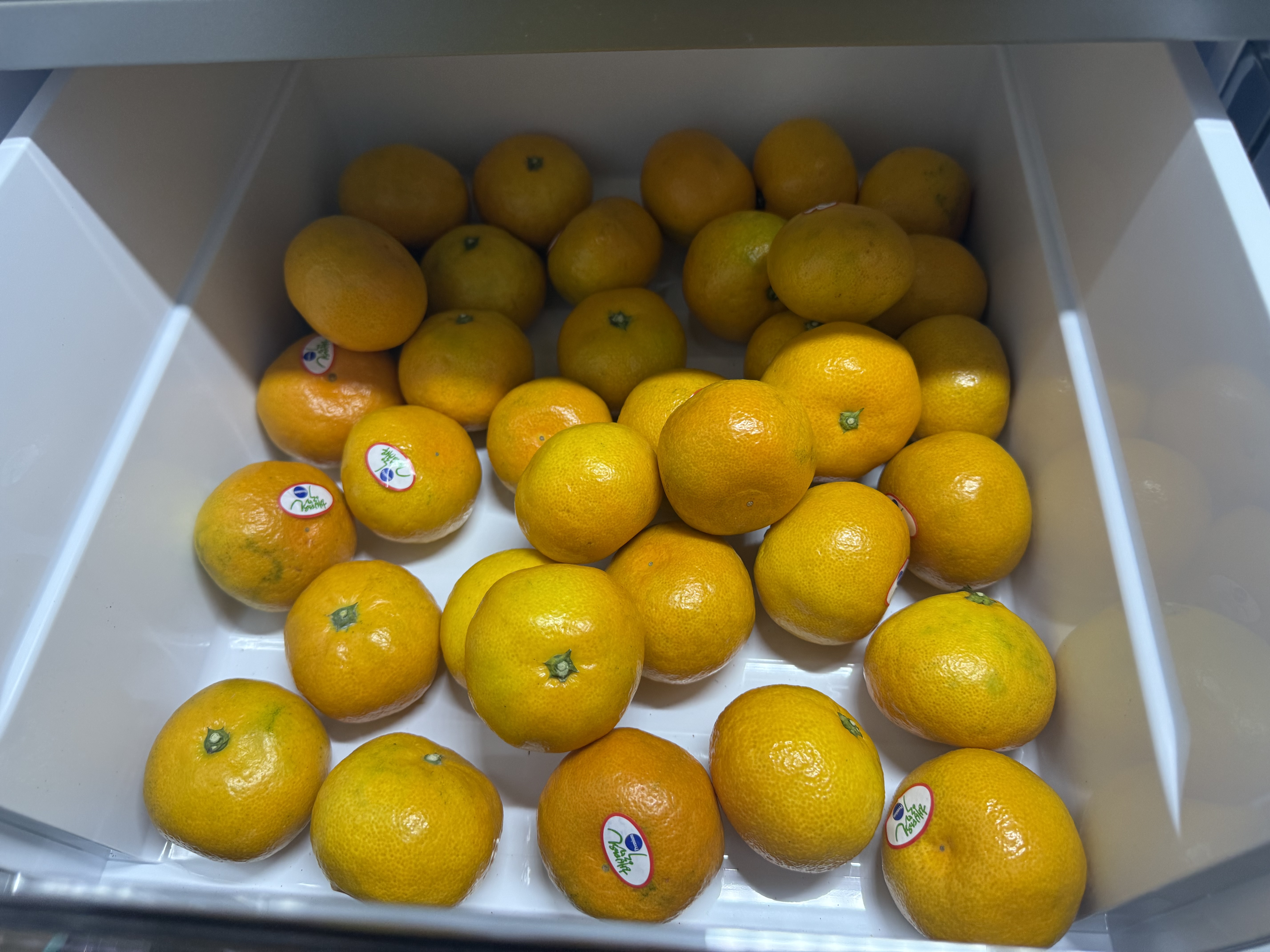 효돈 농협 프리미엄 감귤 (3kg/5kg)-1