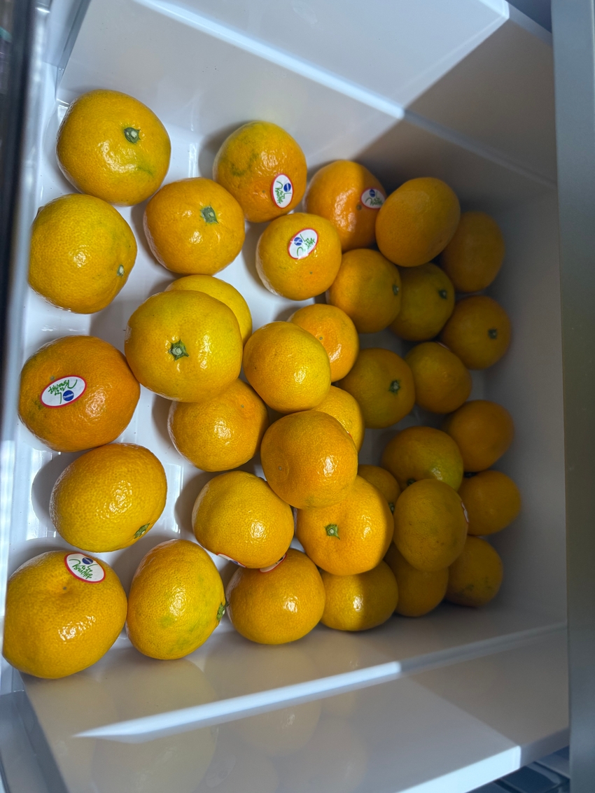 포토후기 이미지