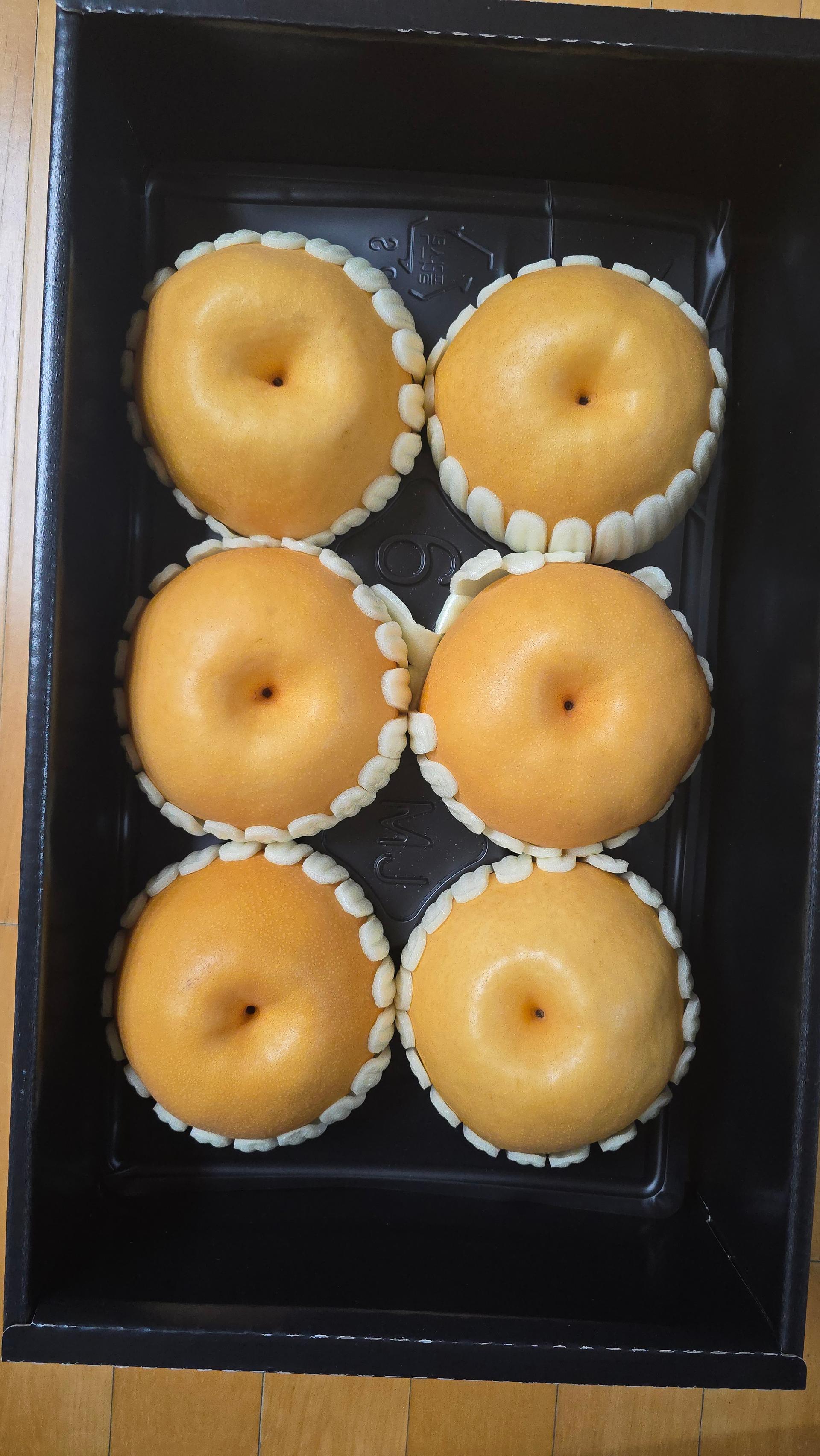 포토후기 이미지