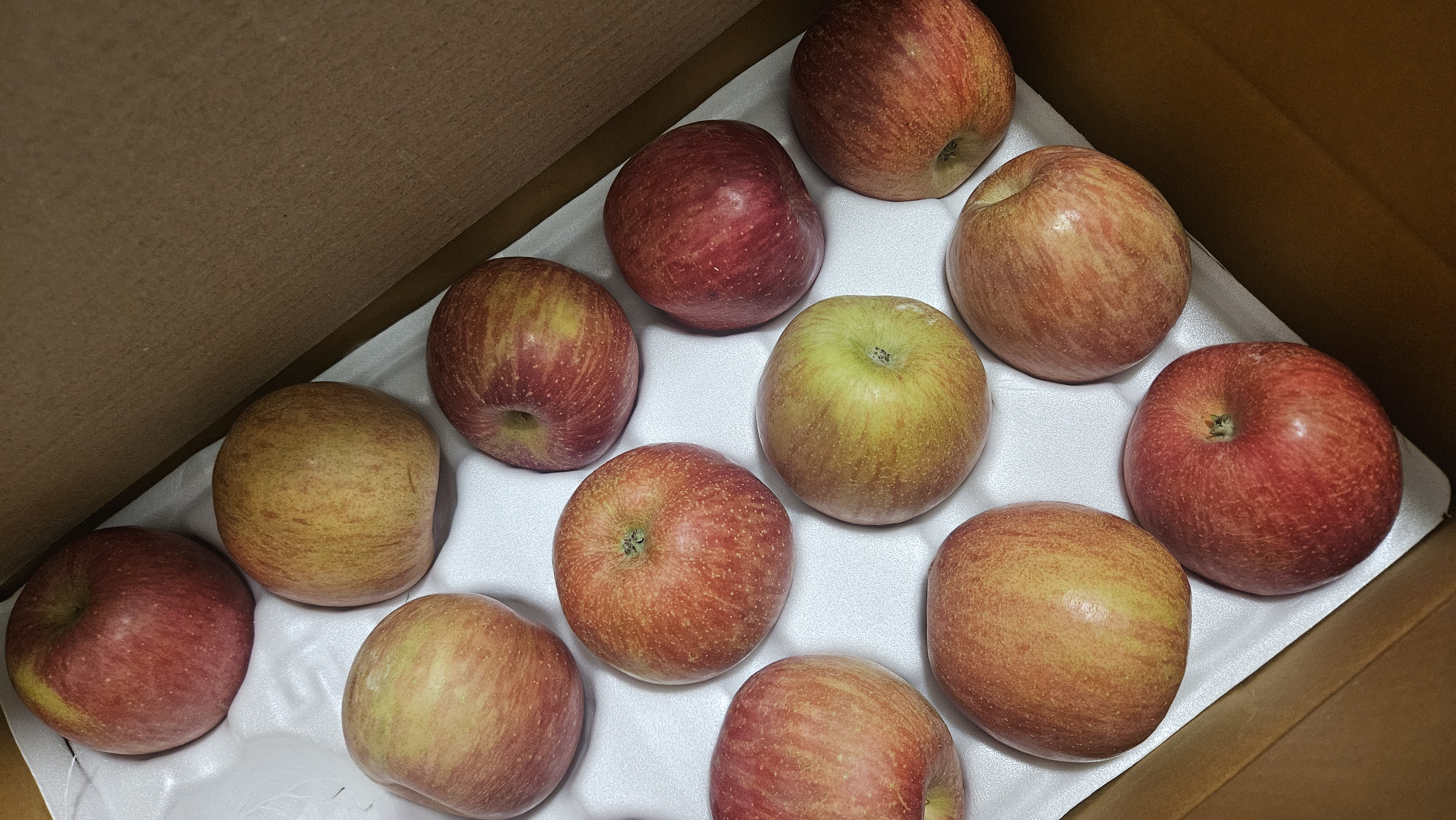 풍기농협 영주사과 3.5kg-1