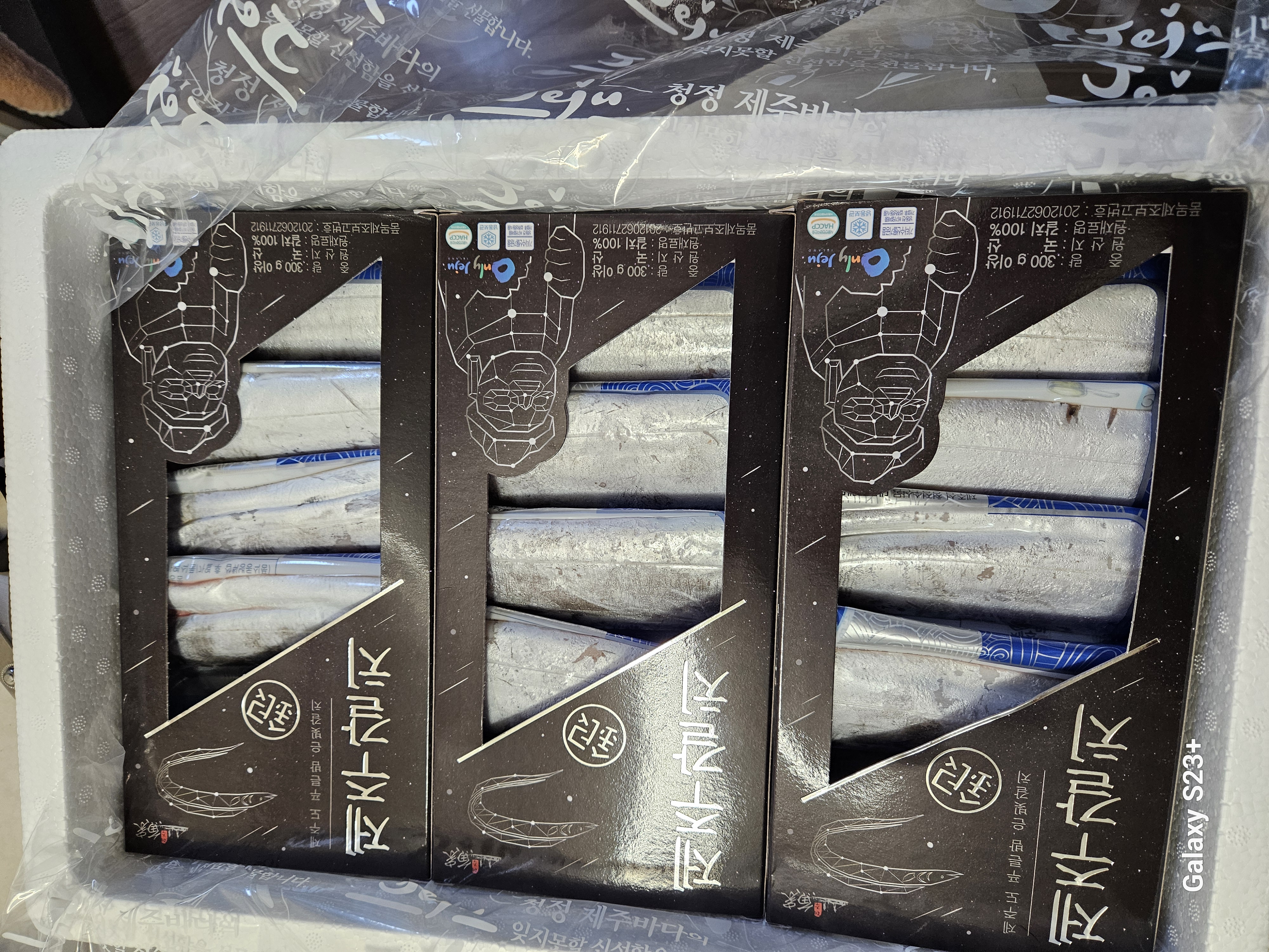 제주 명품 은갈치 선물세트 3~4마리-1