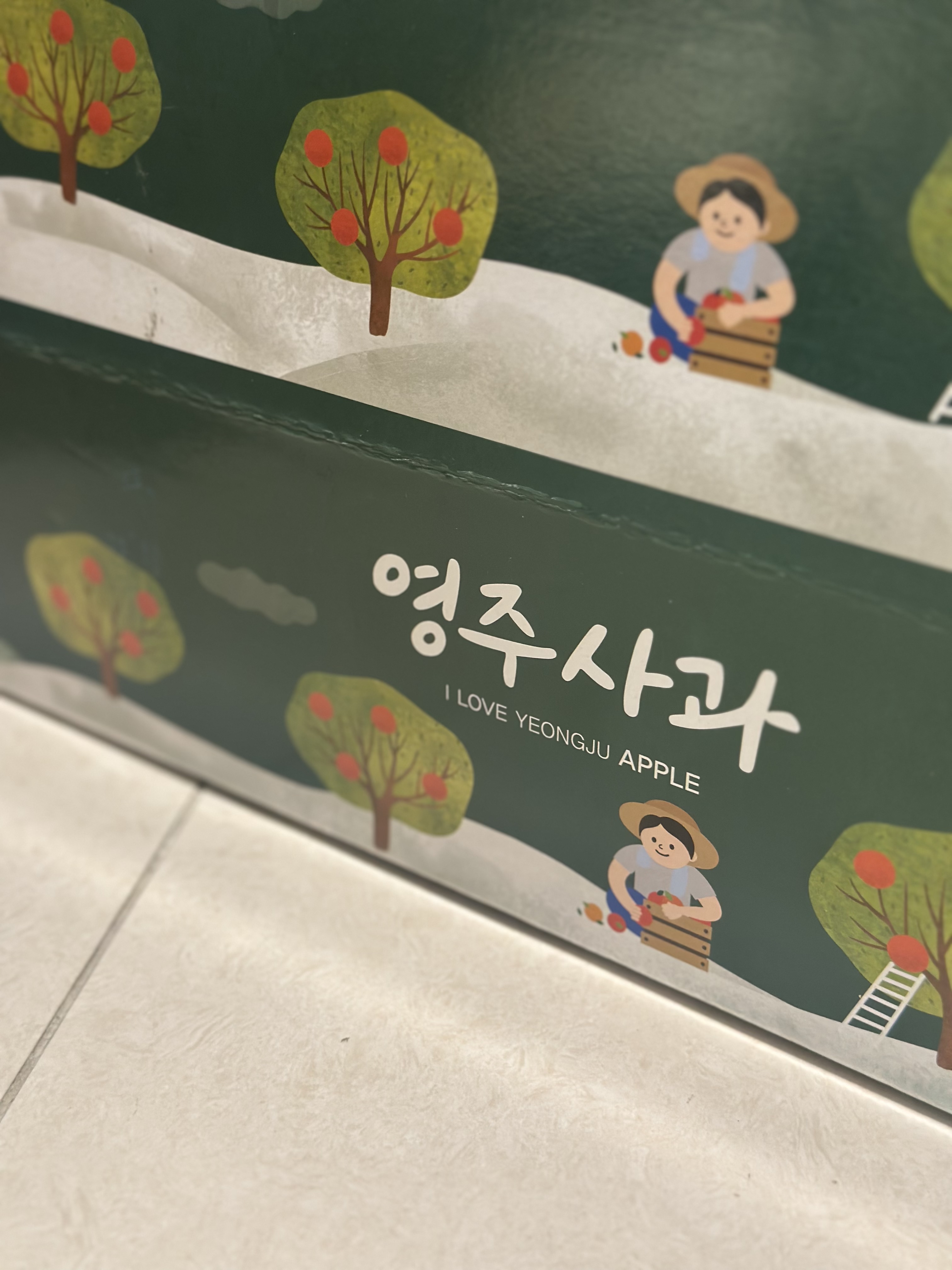 풍기농협 영주사과 3.5kg-1