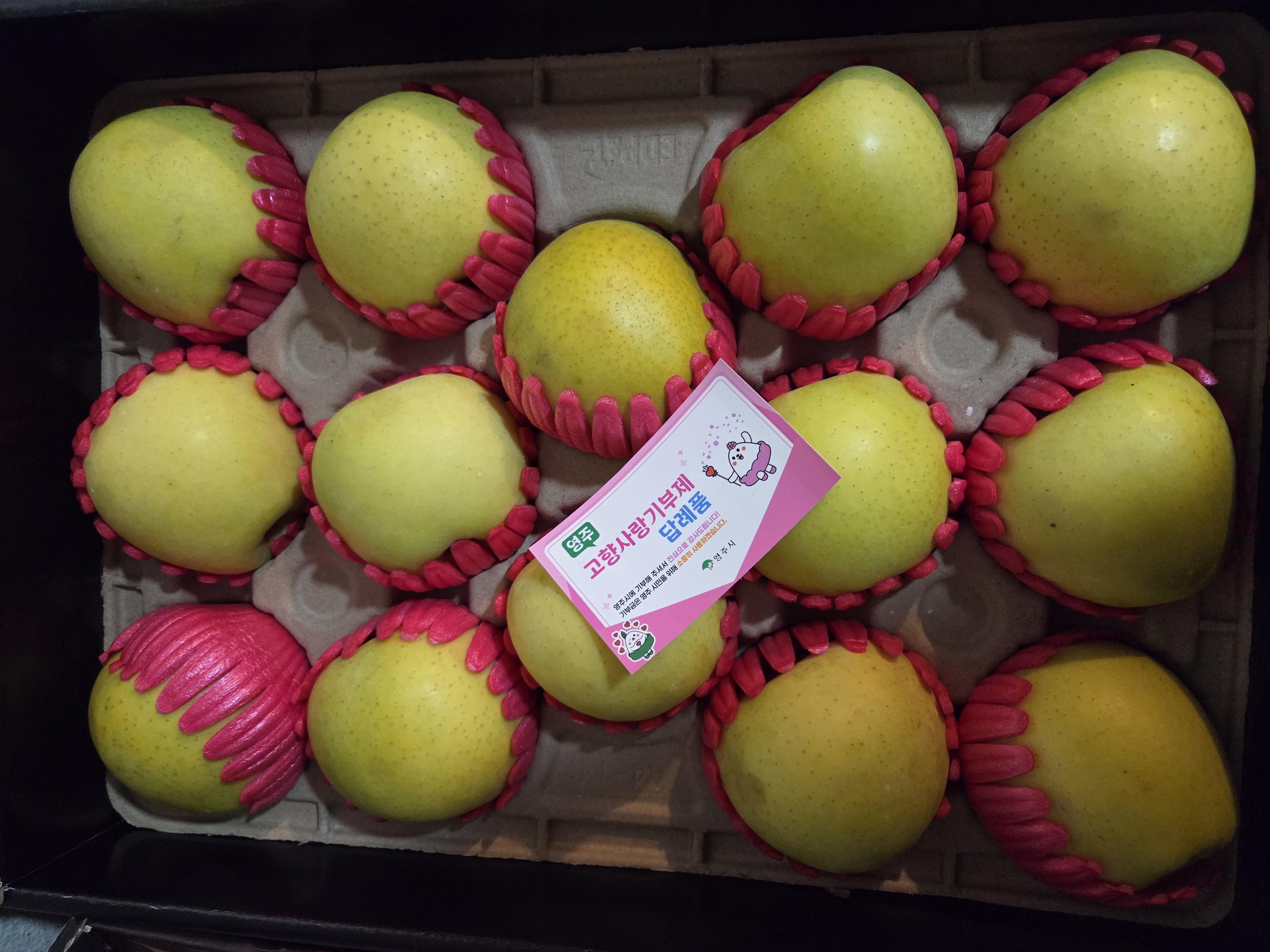 대경사과원예농협 영주사과 3.2kg 선물세트 (11입내)+1kg 추가증정-1